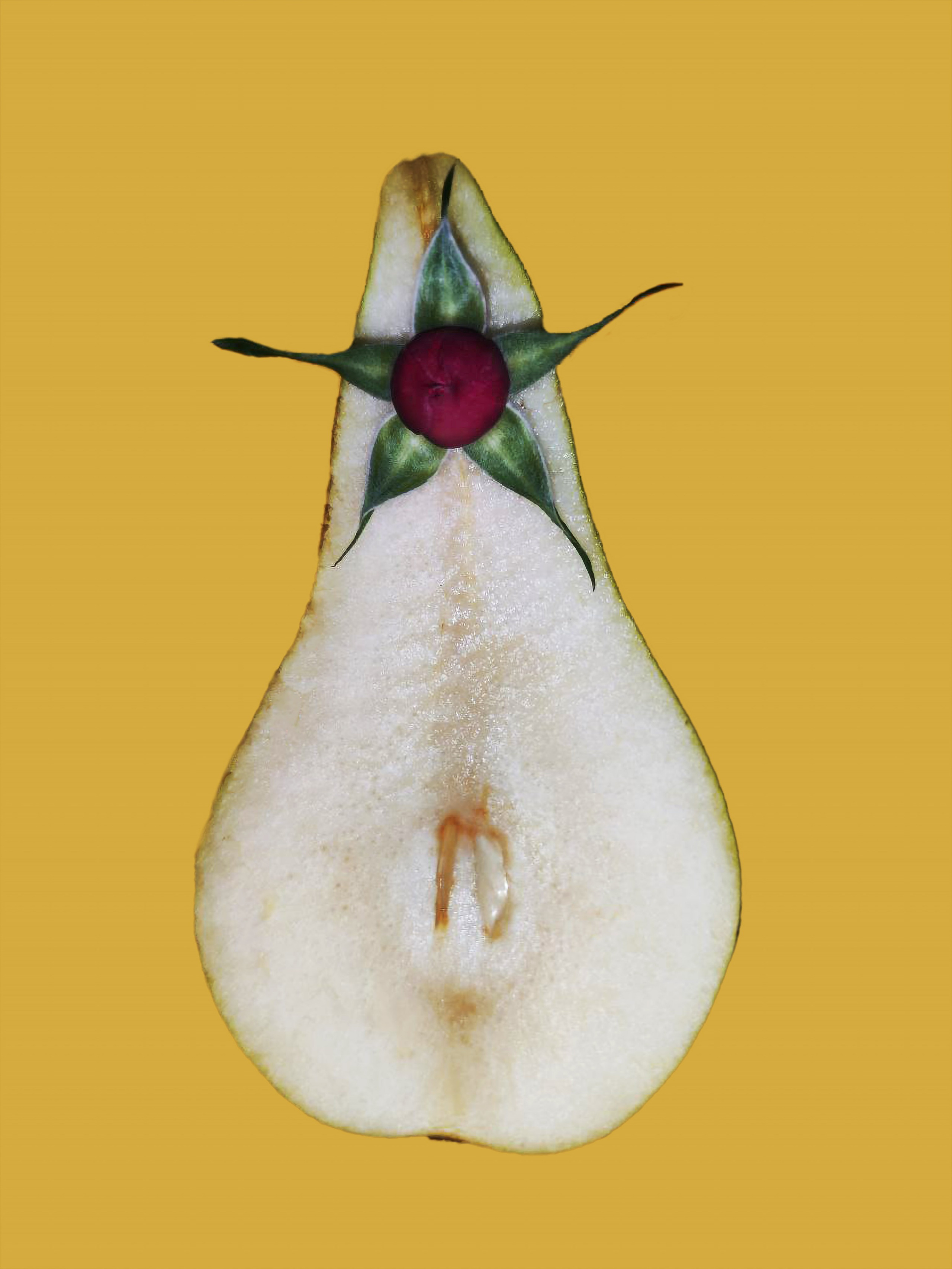 art, artist, photo, photography, photographer, contemporary art, talent, picture, pop art, gallery, фотограф, фотография, творчество, художник, рекламная съемка, творческая съемка, современное искусство, соврисск, совриск, современная фотография, творческая фотография, картины, попарт, поп арт, фото проекты, photo project, bag, сумка, cover song, обложка для музыкального альбома, обложка для книги, постер, картина