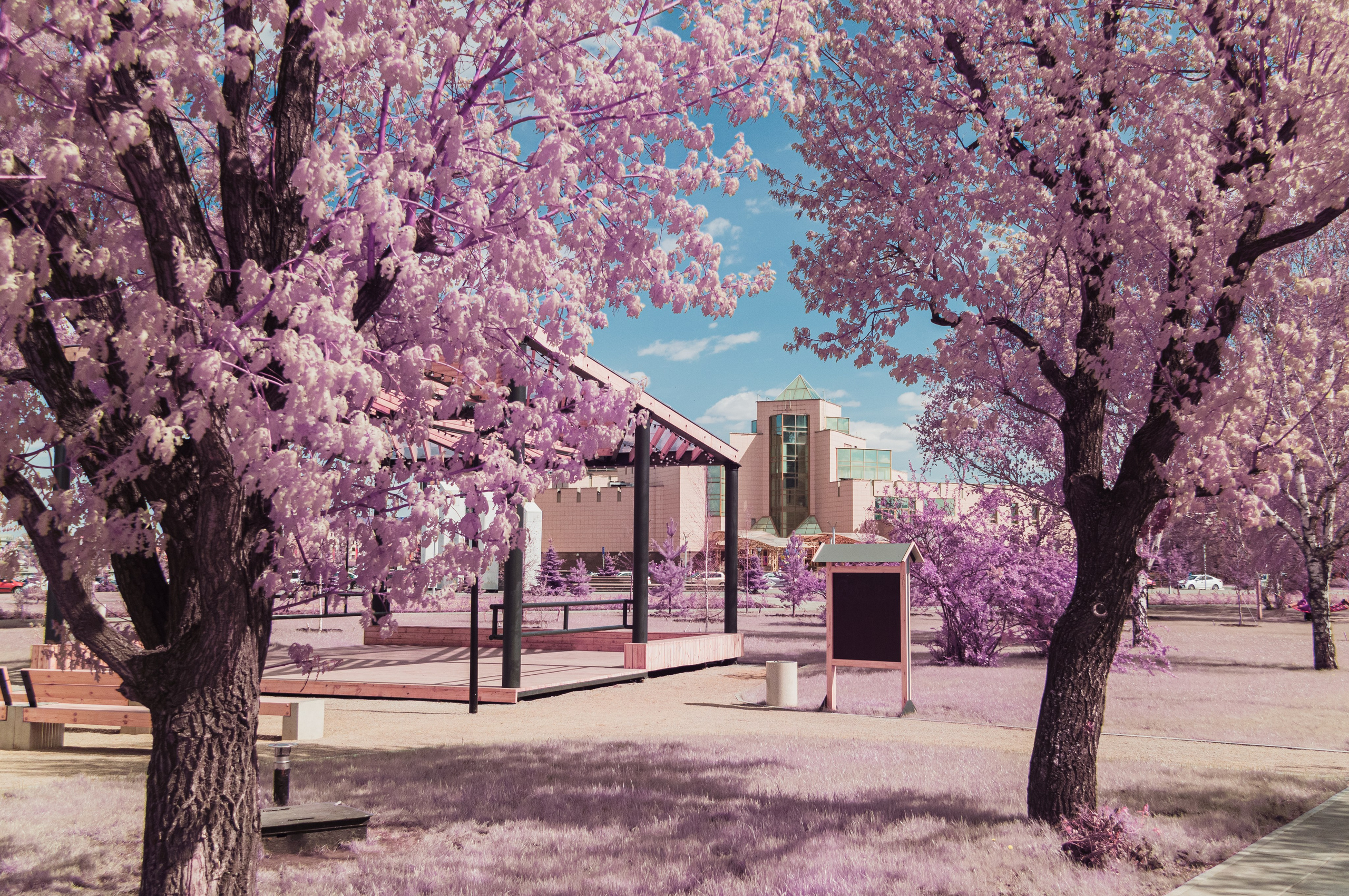 Инфракрасная фотография. Портретный, репортажный и свадебный фотограф в Екатеринбурге Денис Южаков