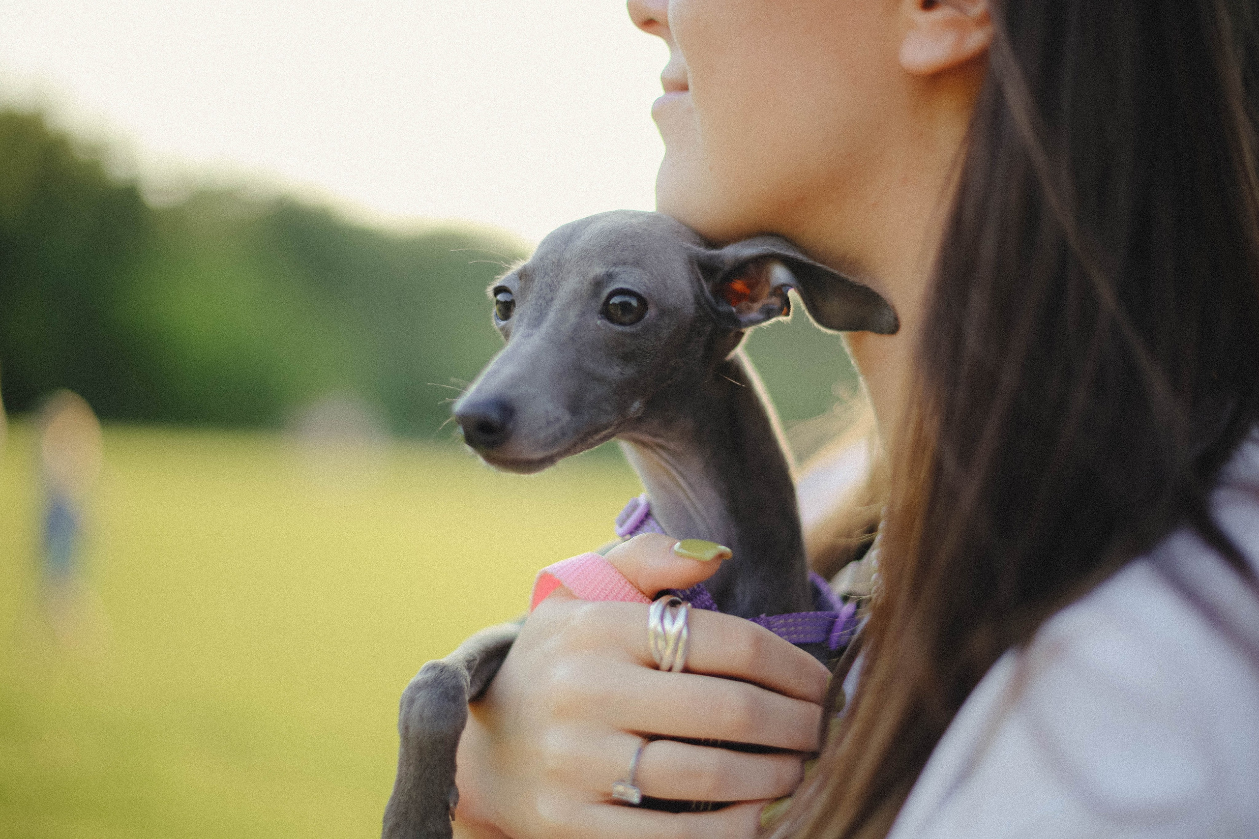 Таня, Саша, Мыша. Фотограф Екатерина Максимова: семейные, индивидуальные съемки, свадьбы