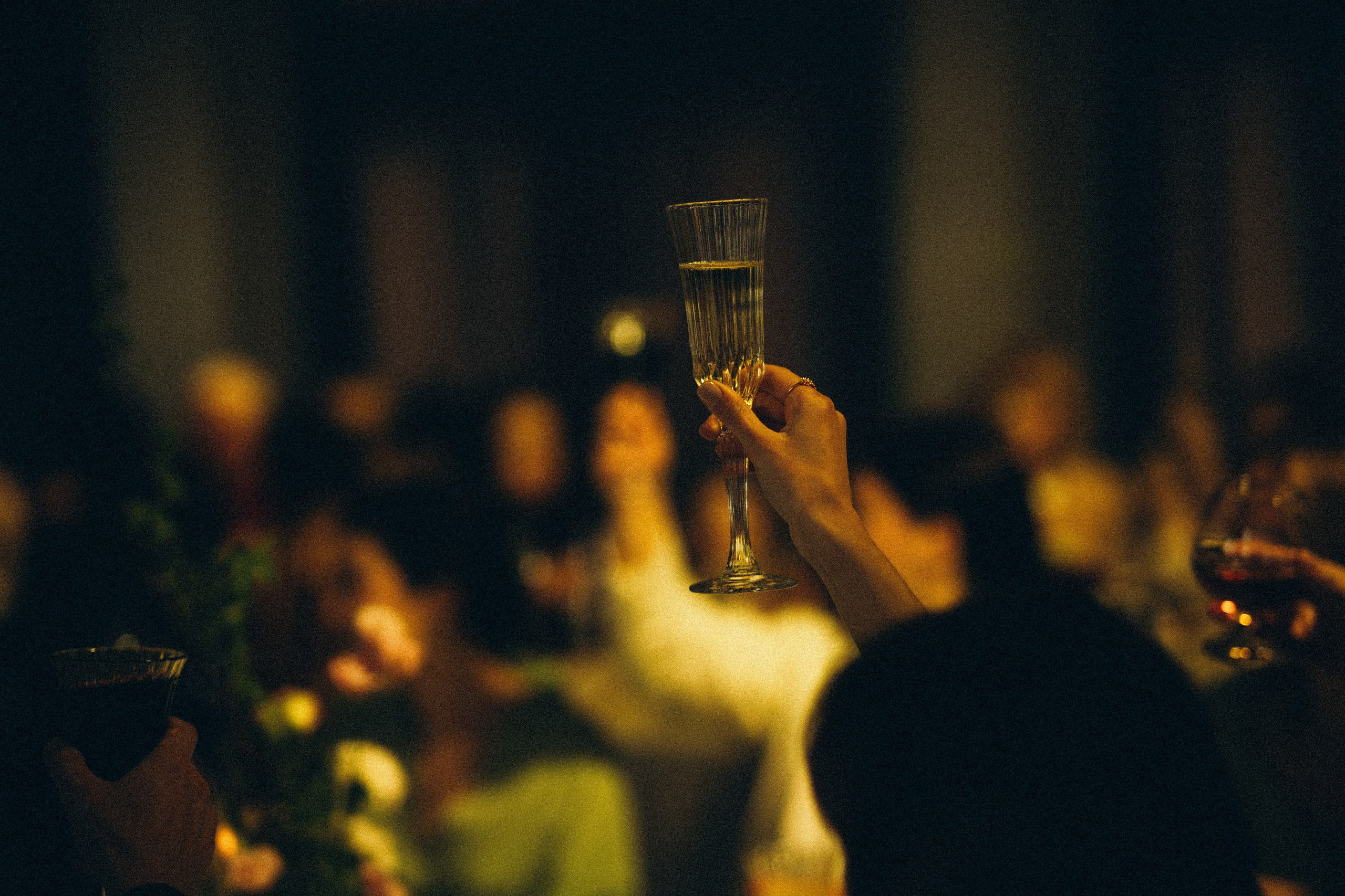 Vinity Forest. Фотограф Анастасия Платонова | Санкт-Петербург