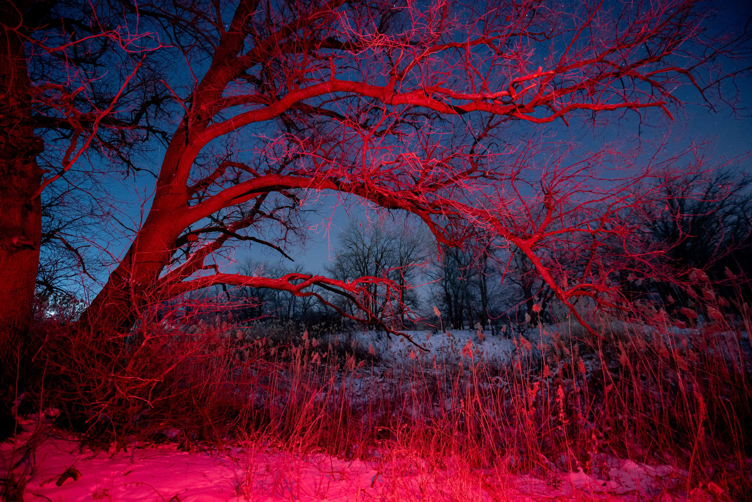 Ночь зимой. Фотограф в Волгограде и Волжском Александр Горбань