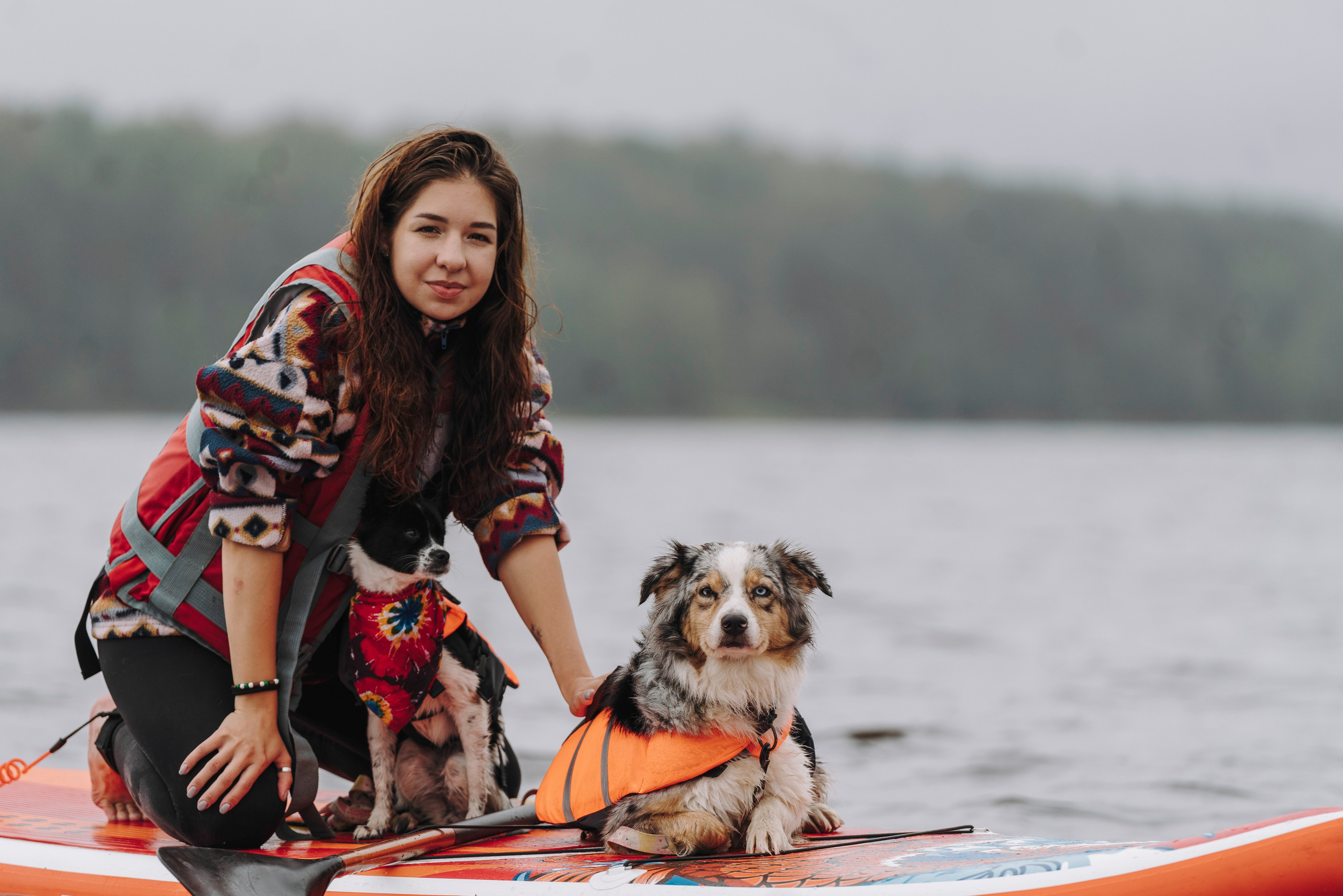 Катание на сапах с собаками. Фотограф анималист в Спб недорого Олеся Майорова