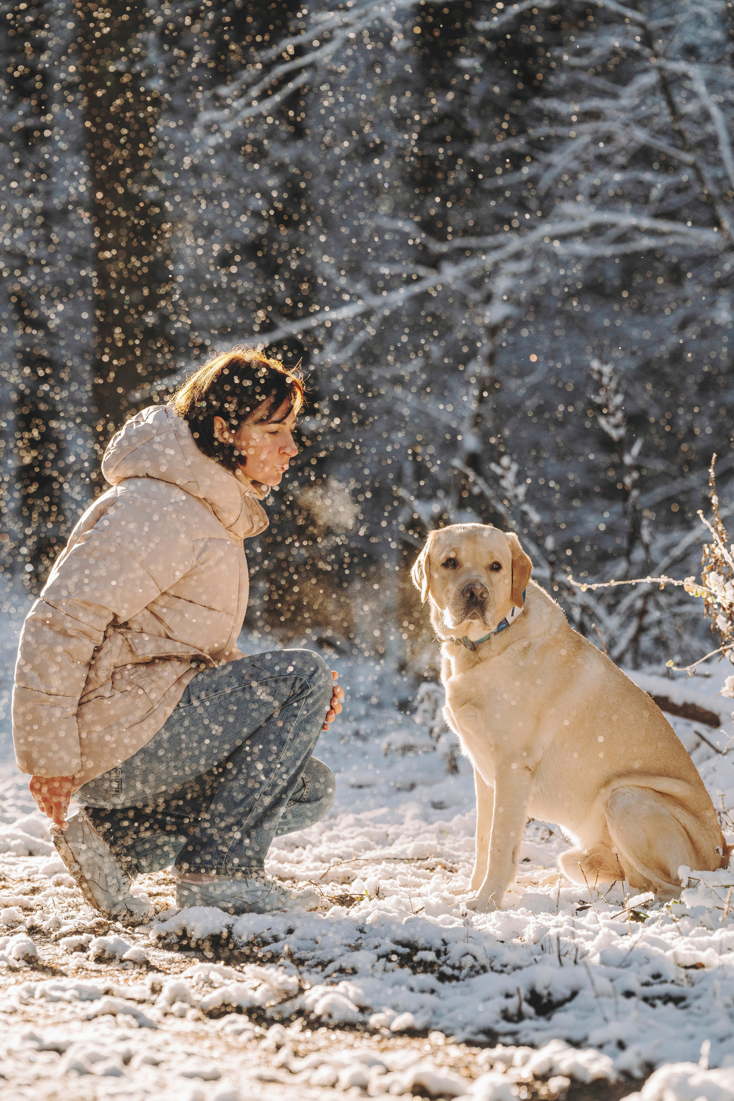 Аня и Честер. Фотограф анималист в Спб недорого Олеся Майорова