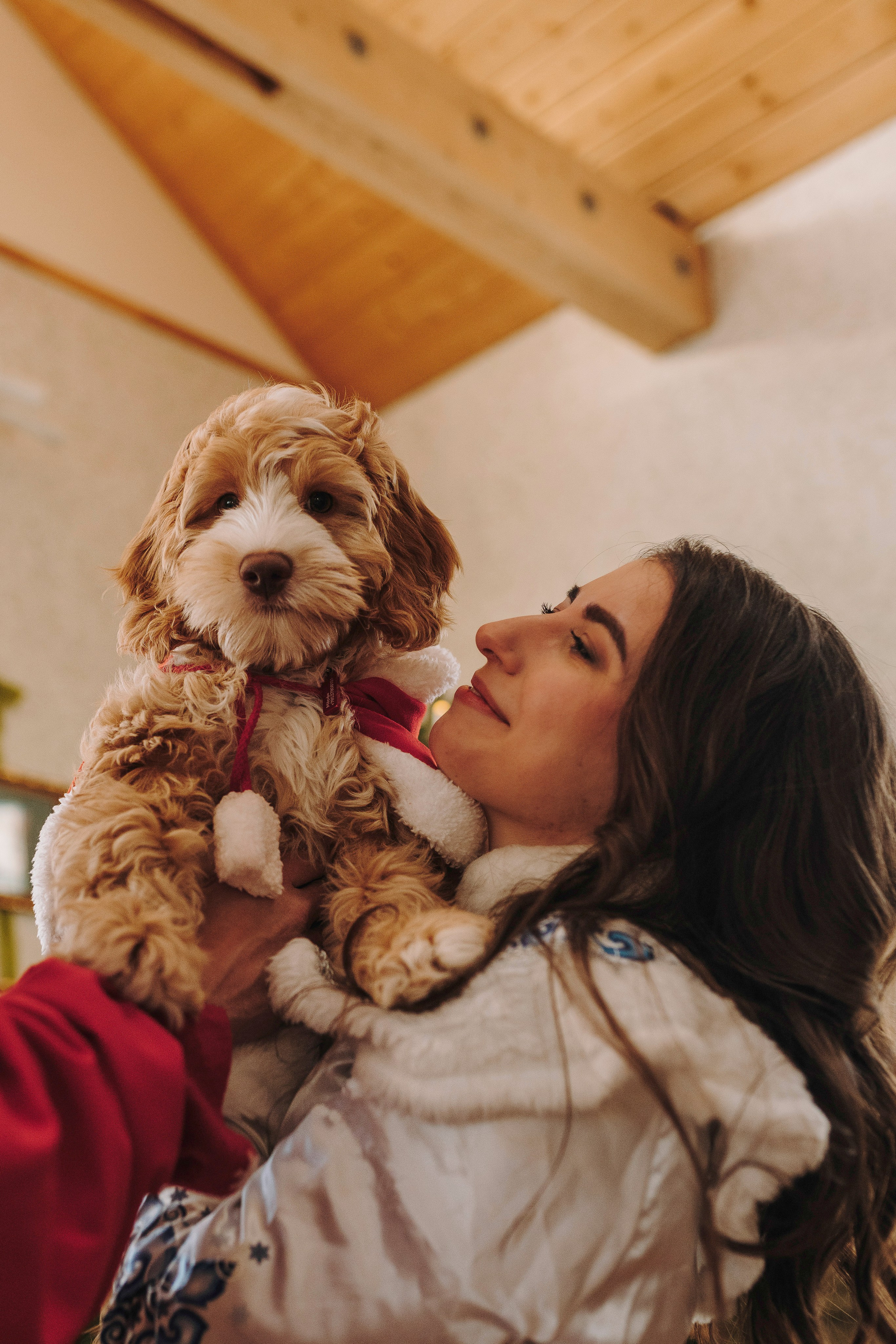 Мёрфи, Таня и Антон. Фотограф анималист в Спб недорого Олеся Майорова