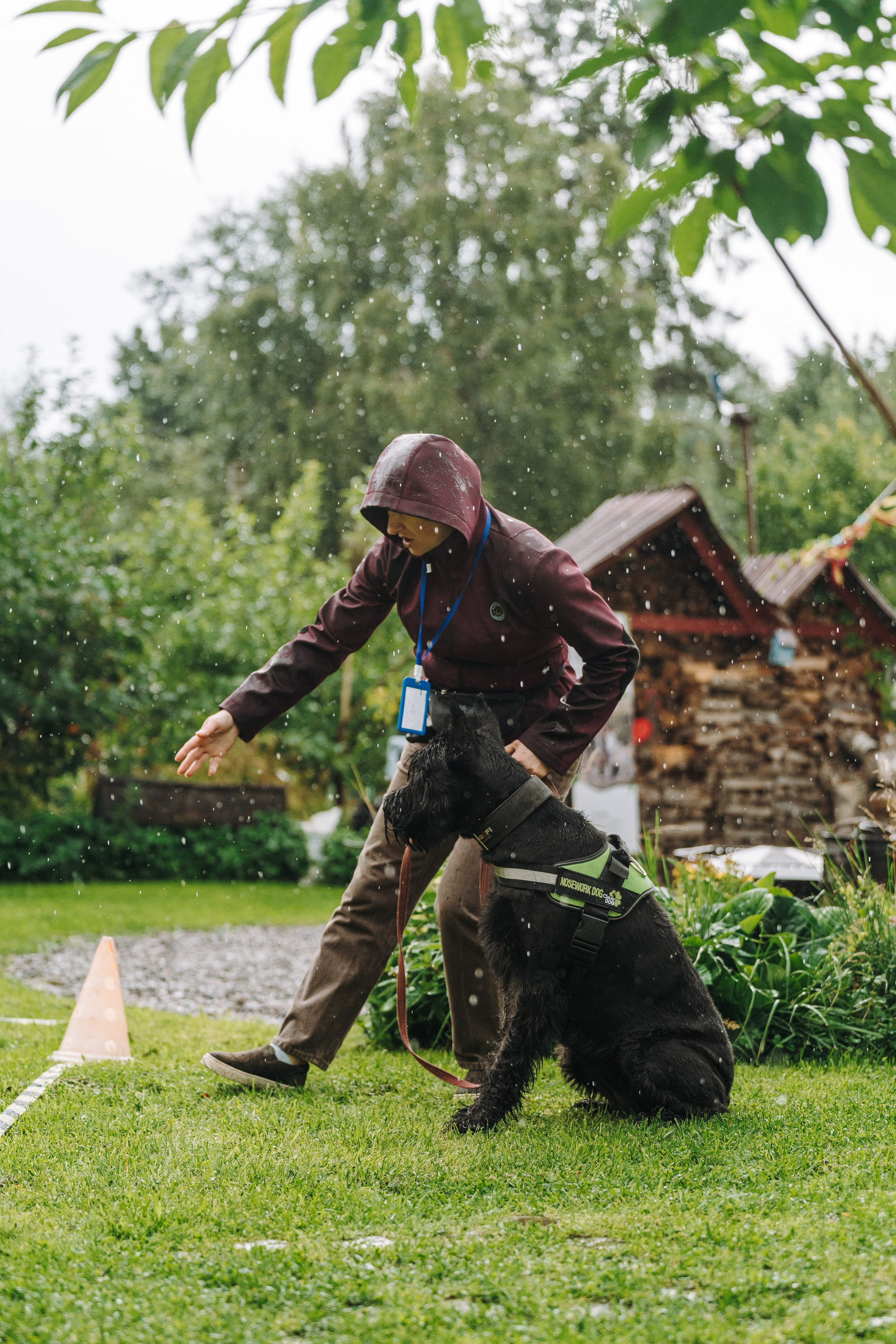 Соревнования по ноузворку в Новожилово. Фотограф анималист в Спб недорого Олеся Майорова