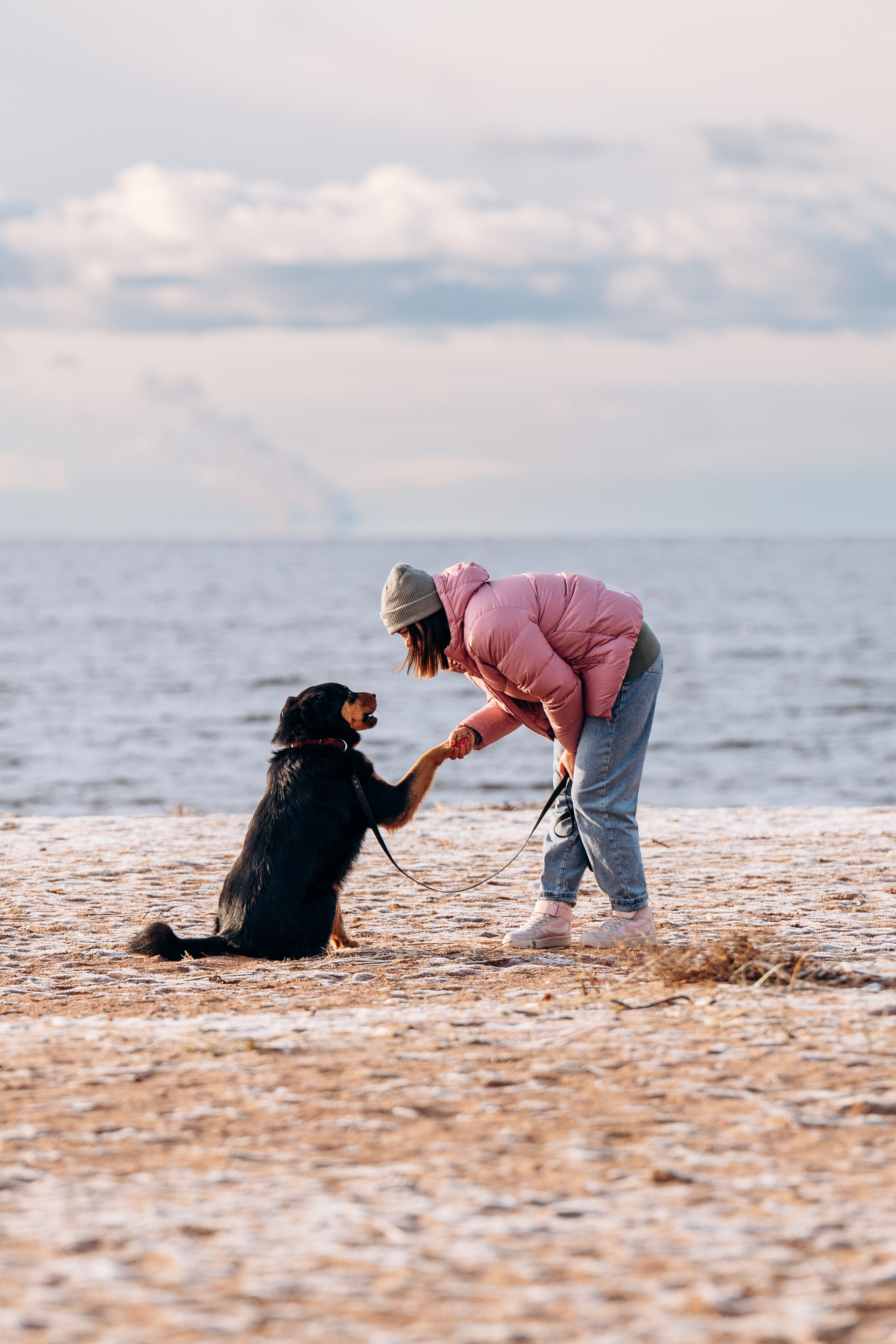 Глаша и Любовь. Фотограф анималист в Спб недорого Олеся Майорова
