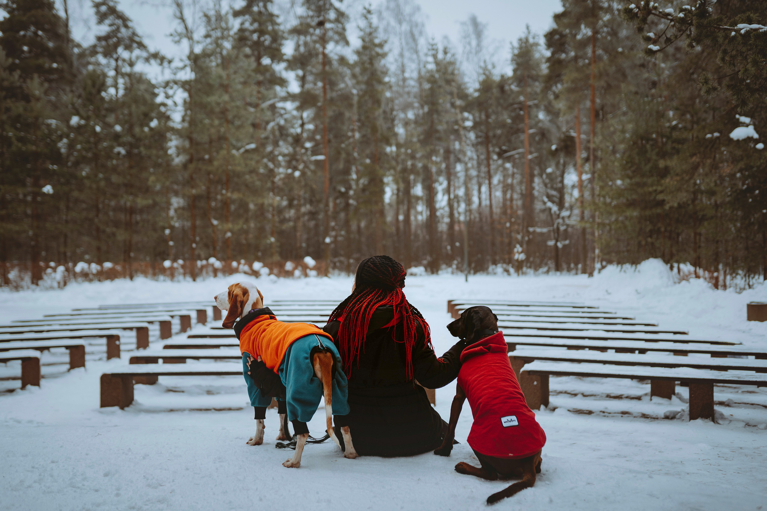 Ольга, Рора и Румпель. Фотограф анималист в Спб недорого Олеся Майорова