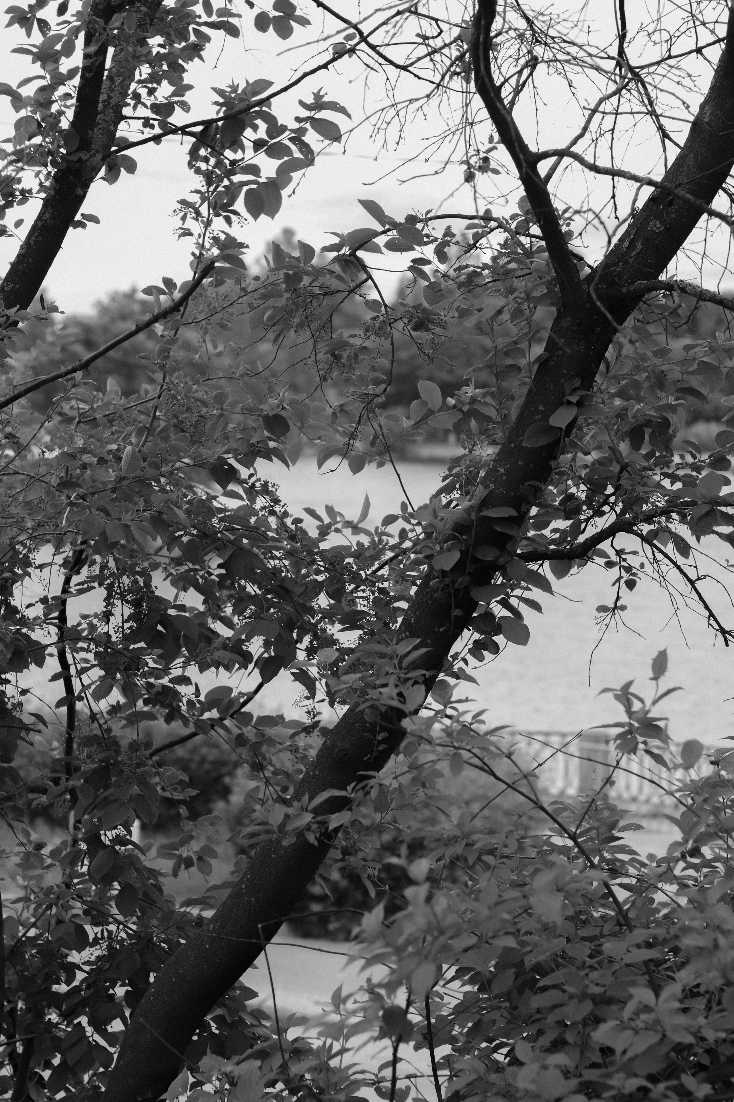 Contour. Фотограф и исследователь фотографии из Санкт-Петербурга Елизавета Веприцкая