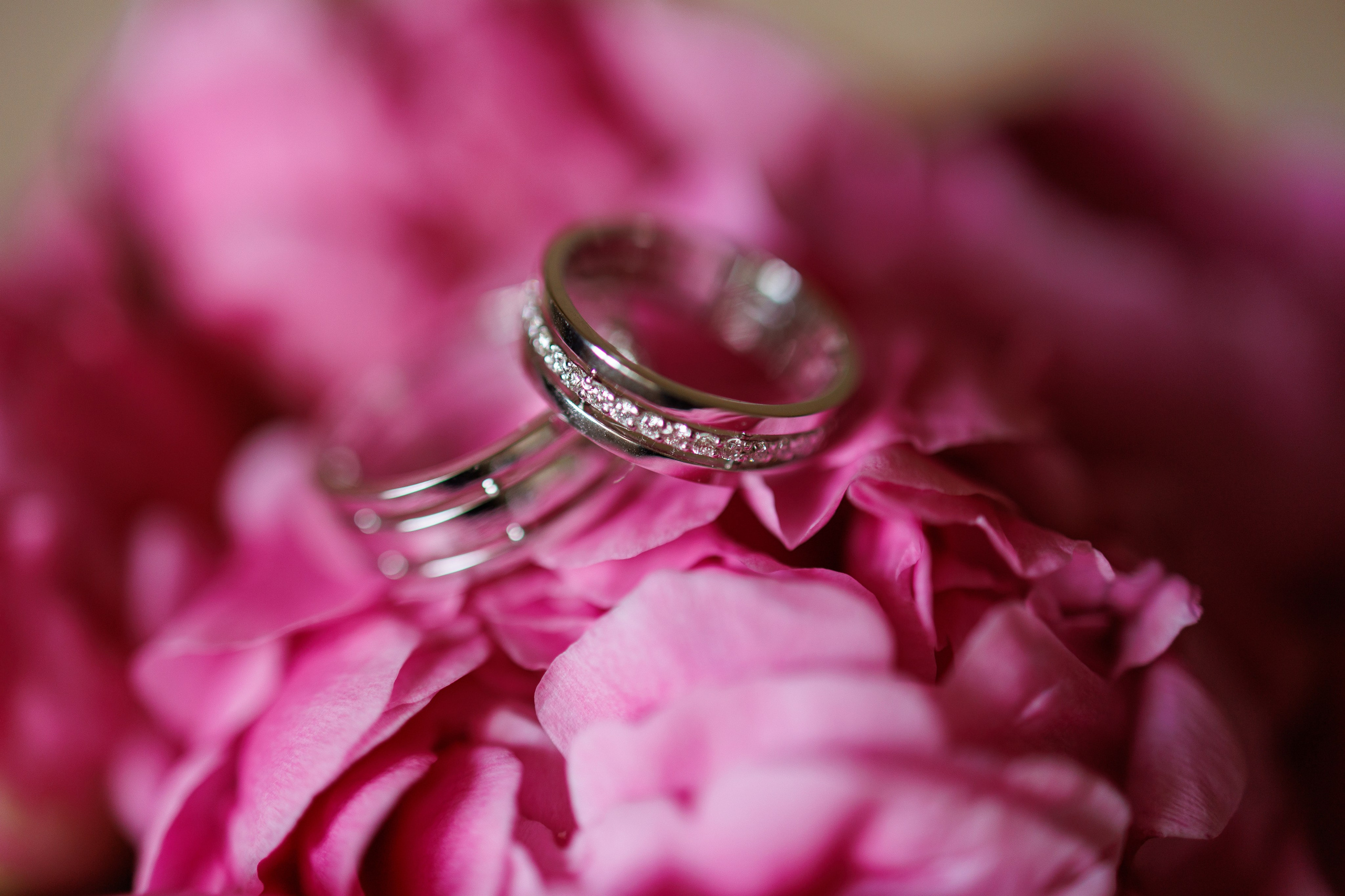 Розовая свадьба Женя и Олег. Марковкина КрисТина