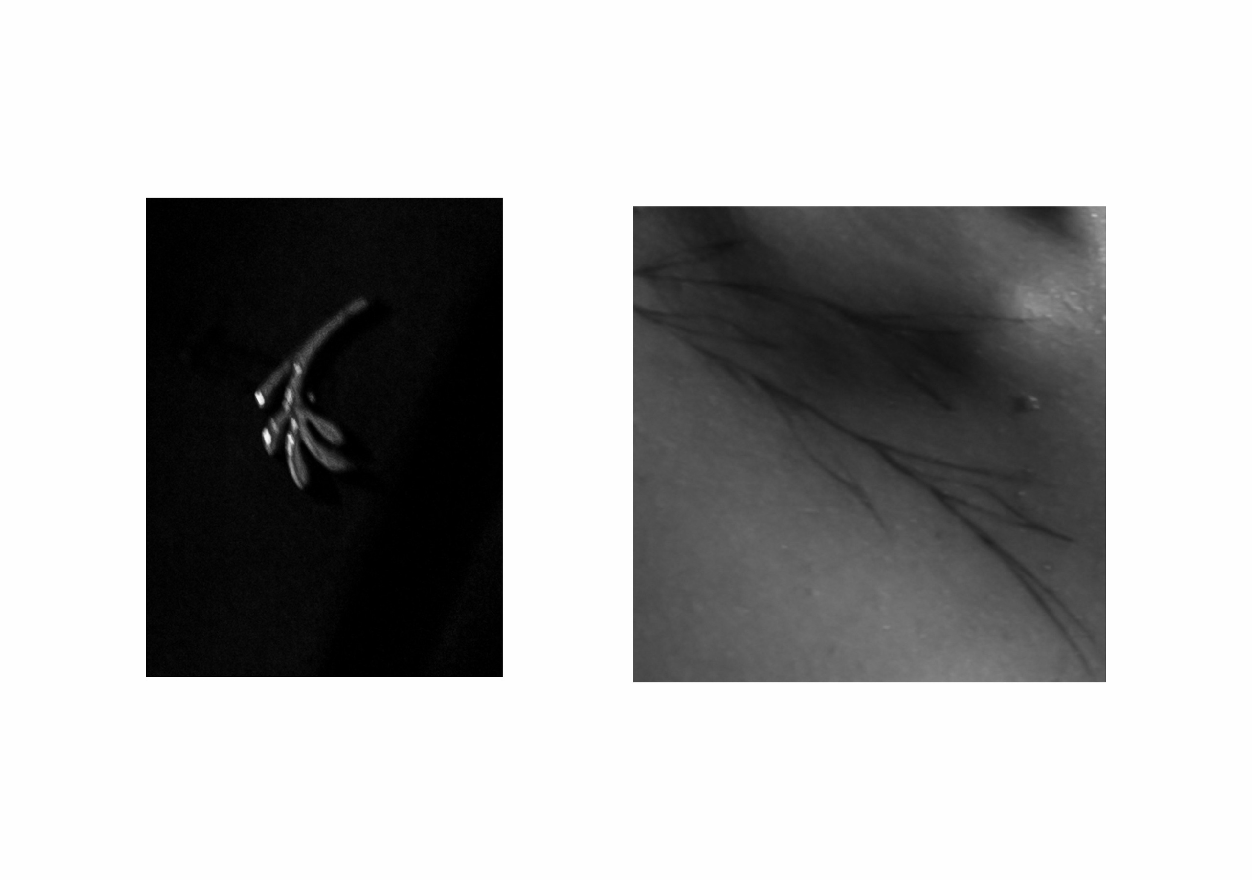 Amore more. Фотограф Невинномысск