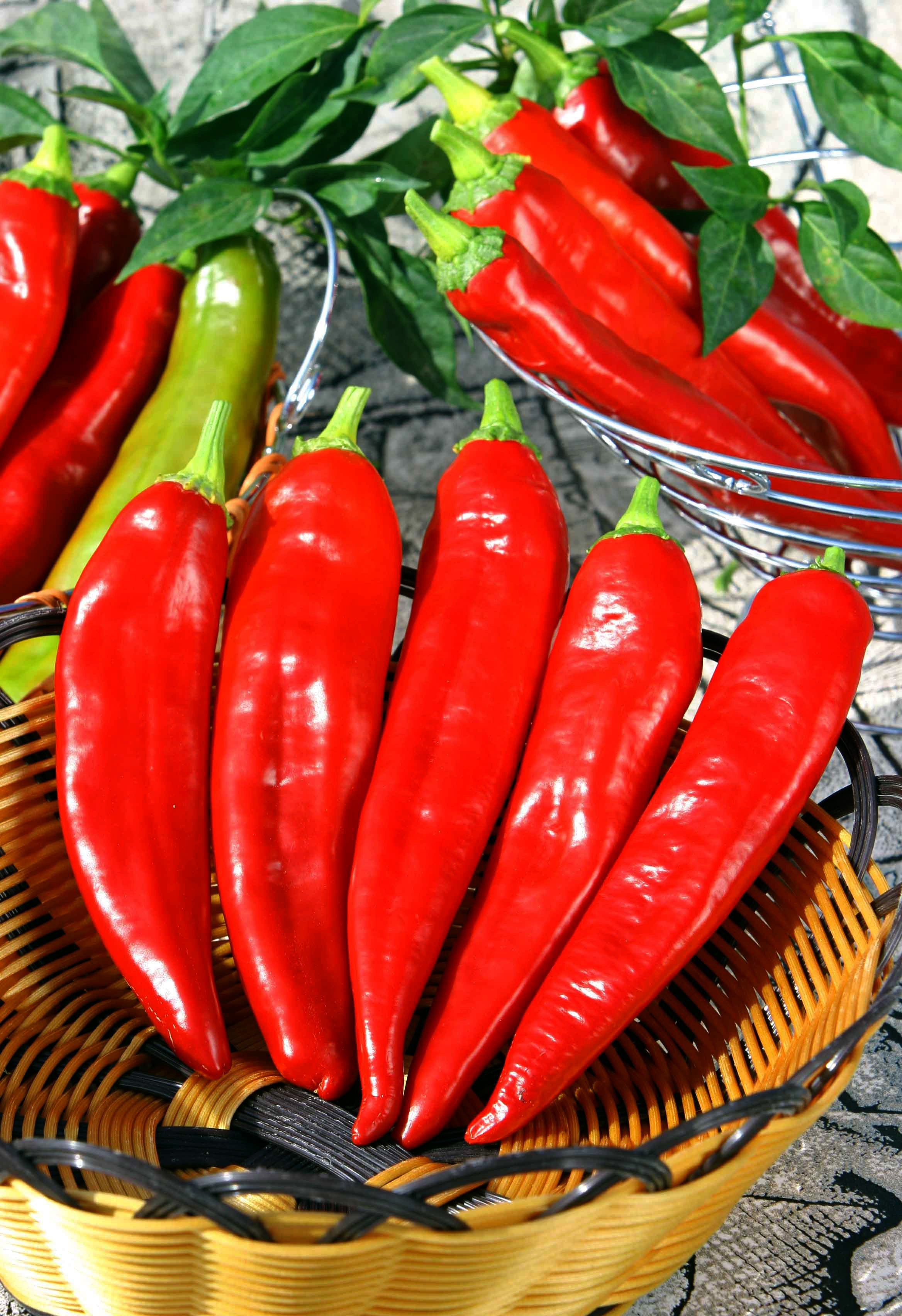 Product photography. The Website of the Photographer Vitaly Deni