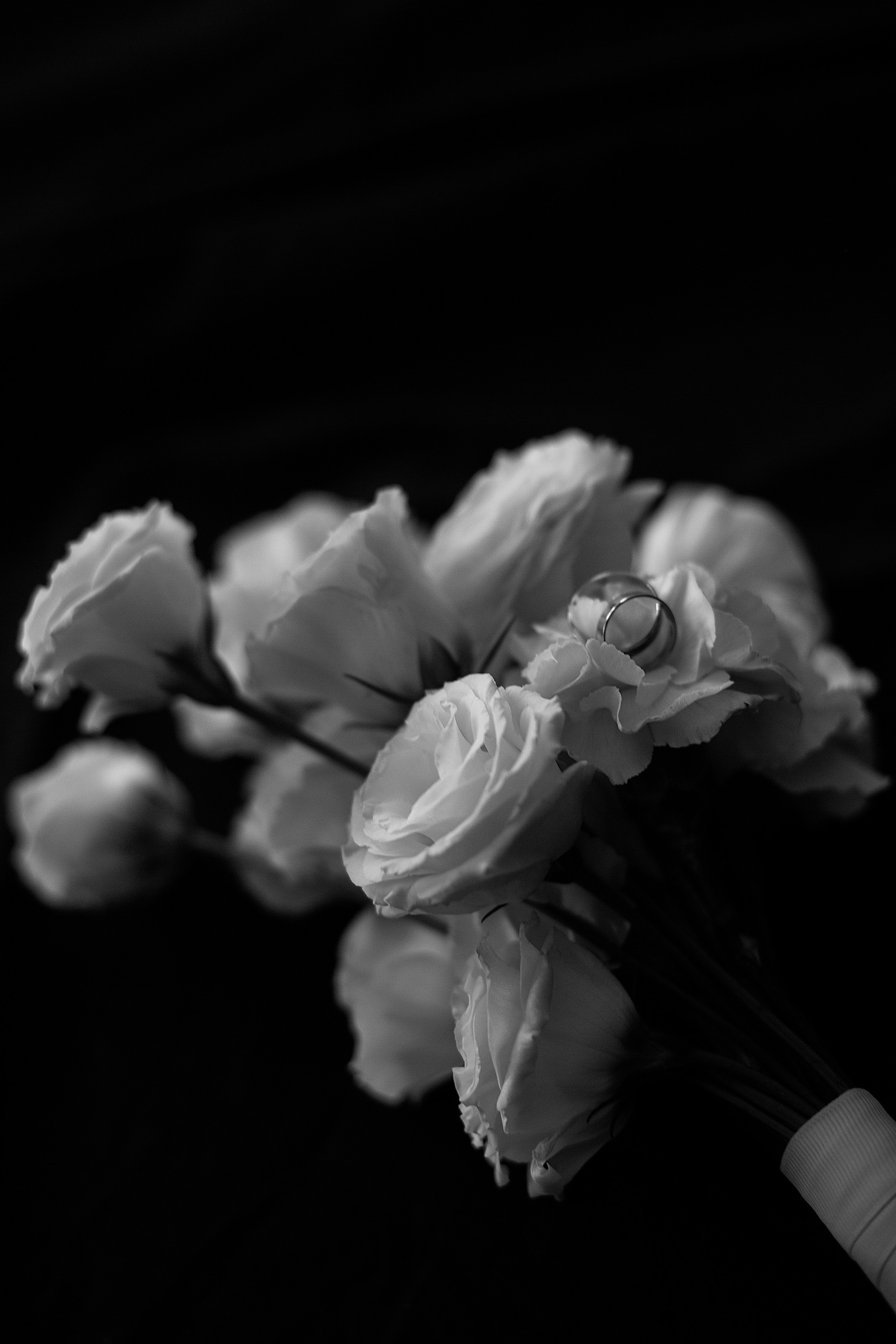 Ольга и Дмитрий. Фотограф Алина Кучумова