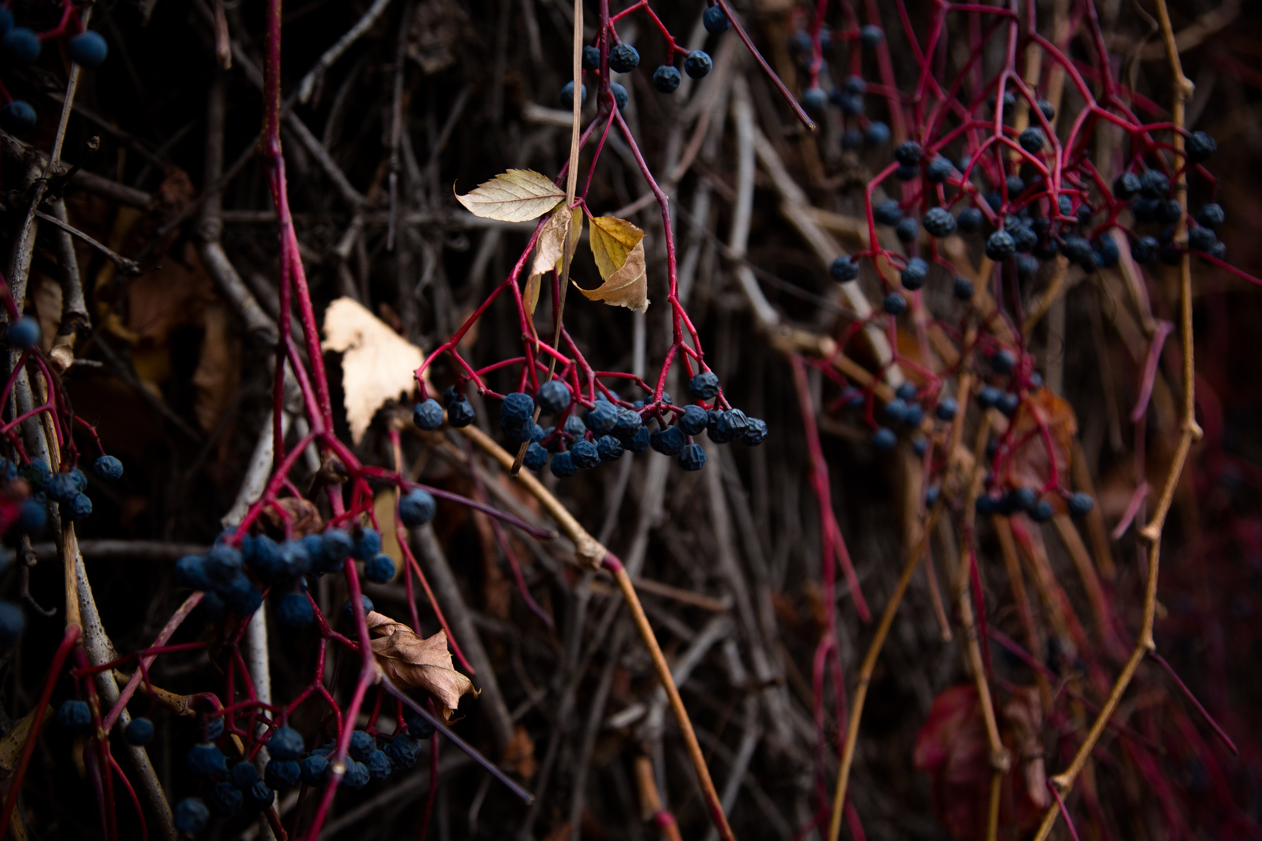 Старый Оренбург. Ваш фотограф в Оренбурге Рощупкина Екатерина