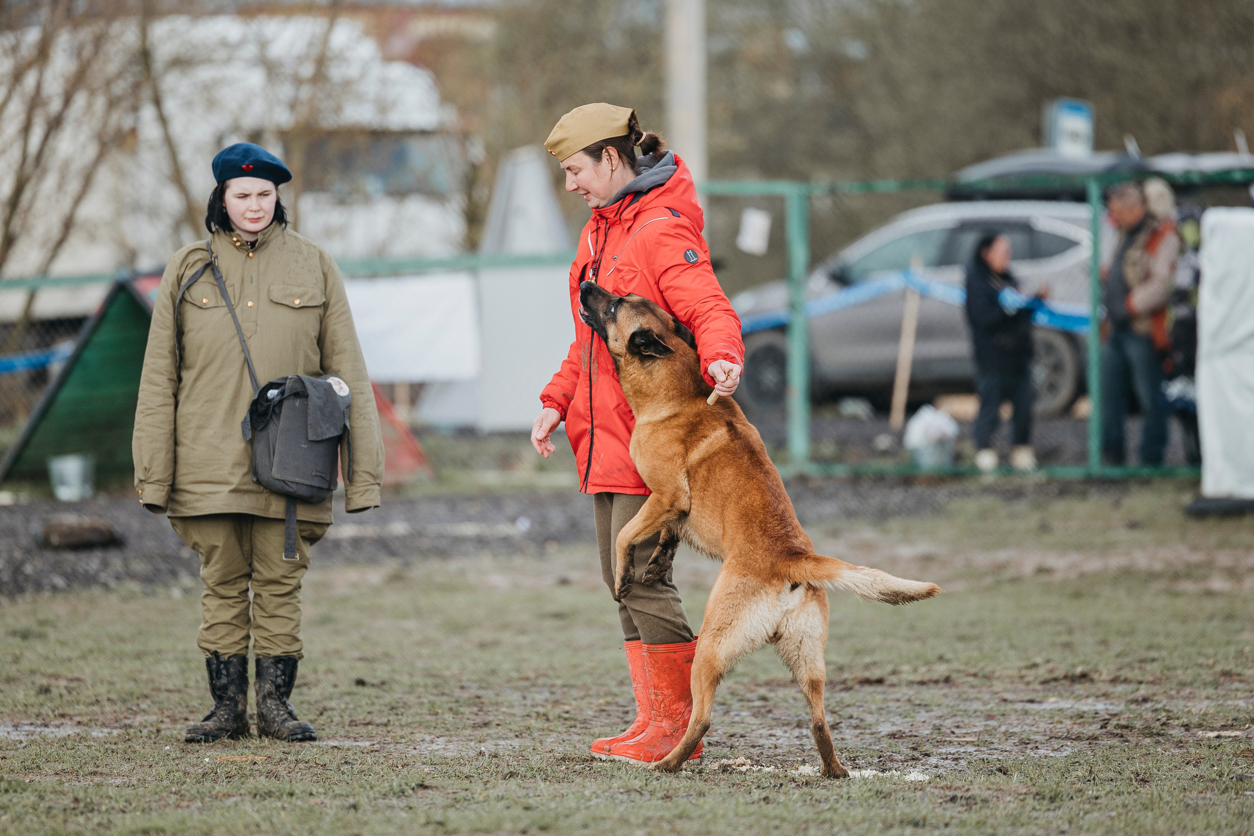 09.05.25 Вологда соревнования. Фотограф-анималист Анна Маринич
