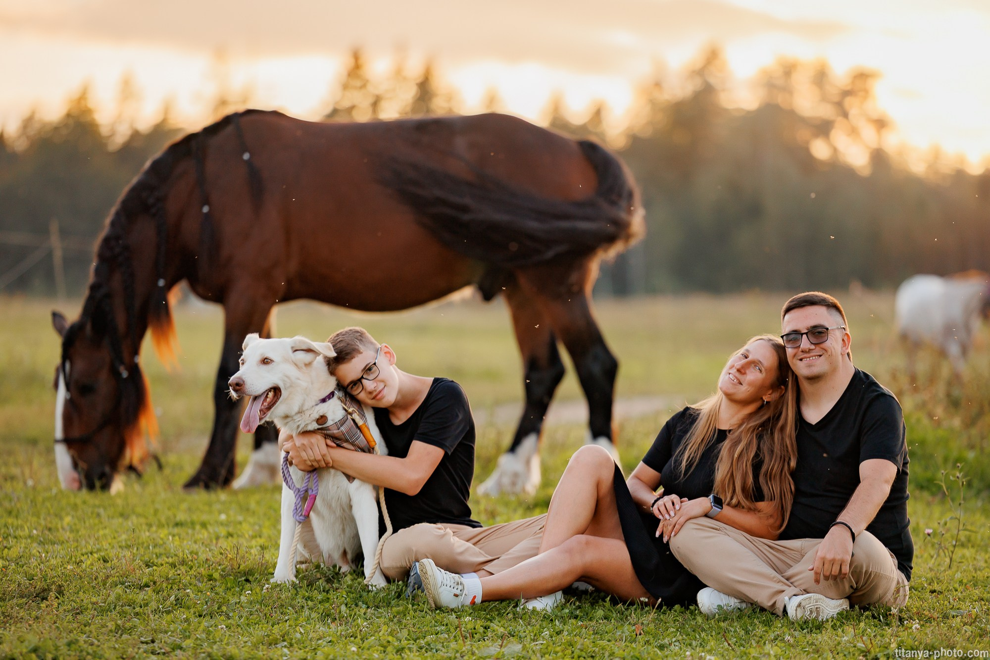 Закатная семейная фотосессия: про Настю и её дружную семью. Фотограф собак, фотограф-анималист Аня Титова (Titanya). Москва