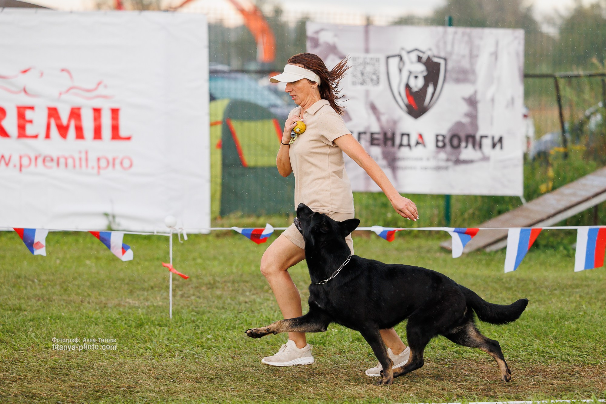 Немецкие овчарки: фото из рингов и вне ринга, мутпроба (фотографии с выставок). Фотограф собак, фотограф-анималист Аня Титова (Titanya). Москва