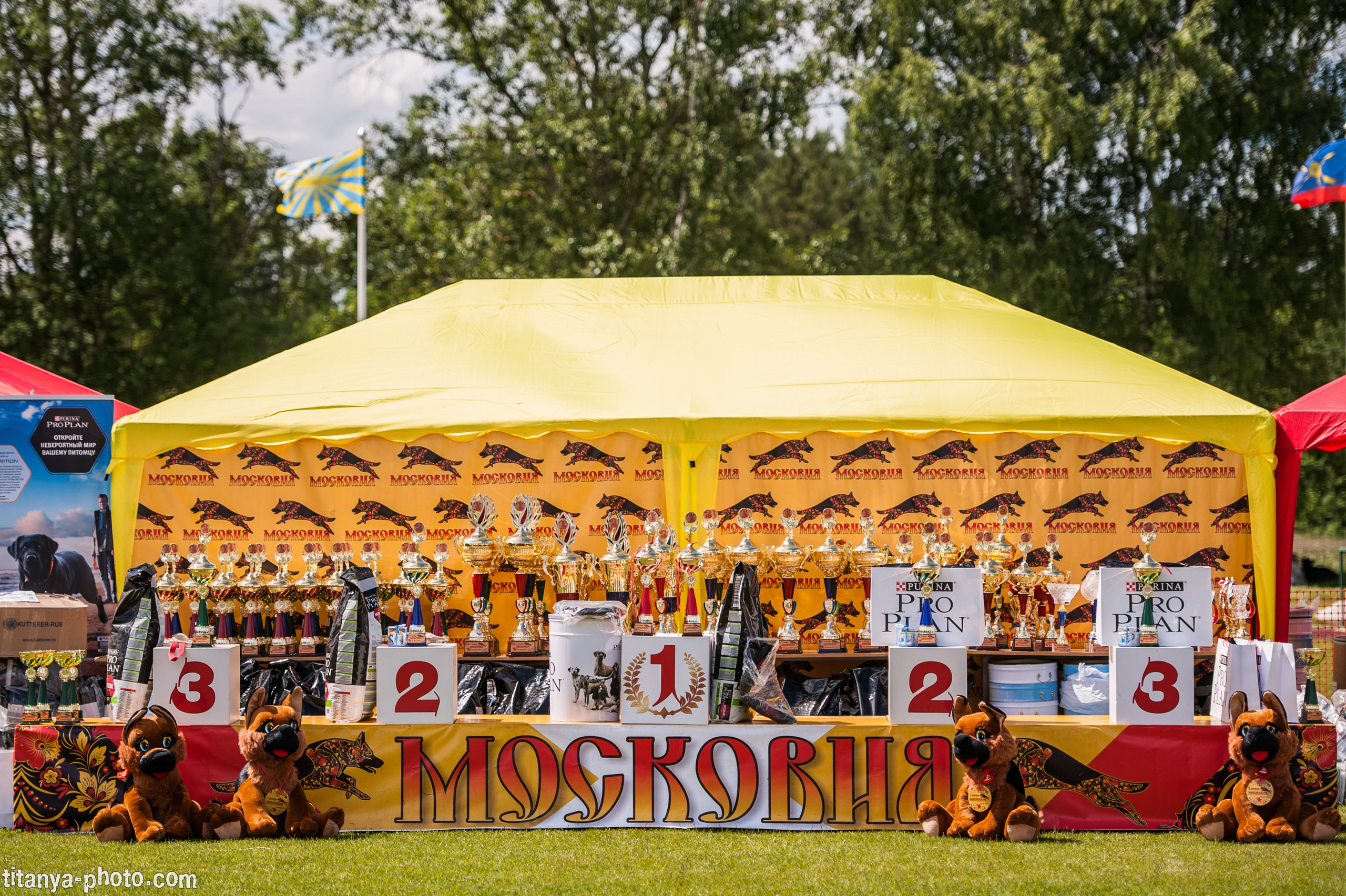 Фотографии с монопородных выставок немецких овчарок. Фотограф собак, фотограф-анималист Аня Титова (Titanya). Москва