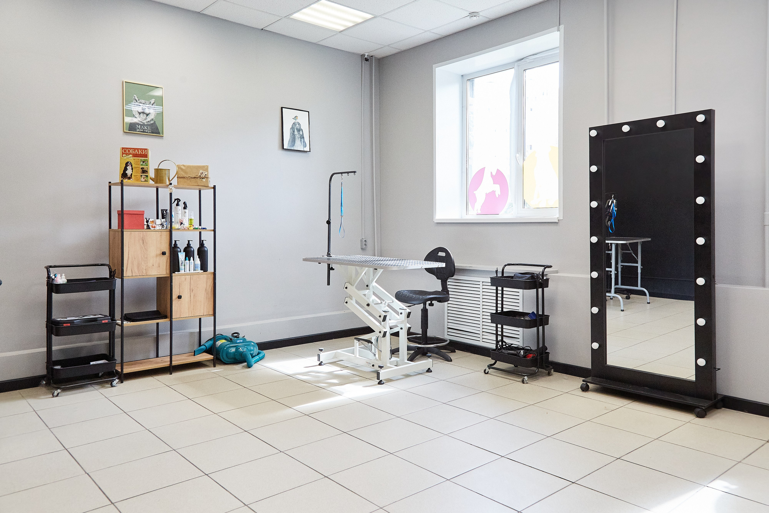 Зоопарикмахерская Avrora Groom. Фотограф Анастасия Леонтьева Санкт-Петербург