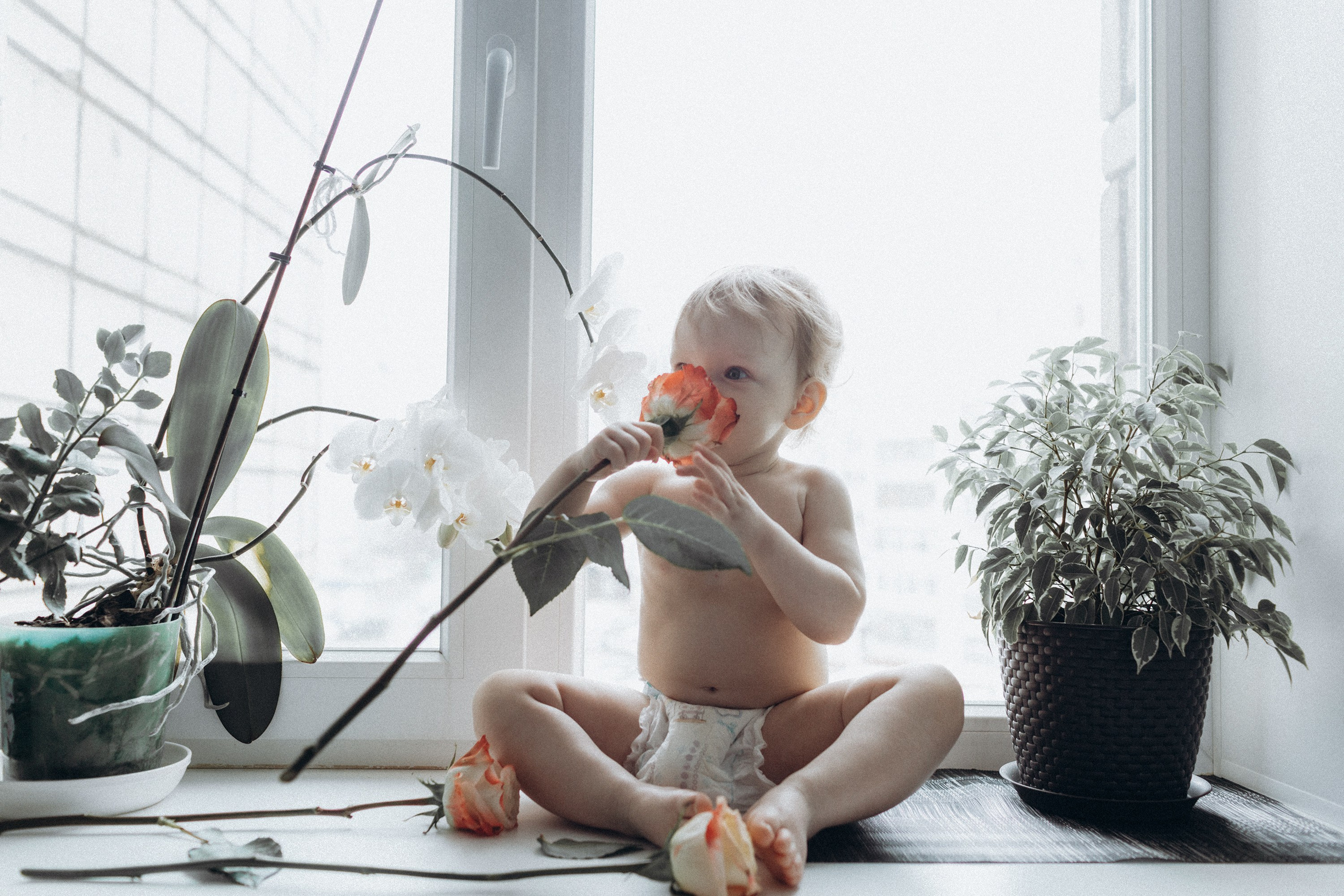 Маша, Женя, Антон. Семейный фотограф Томск