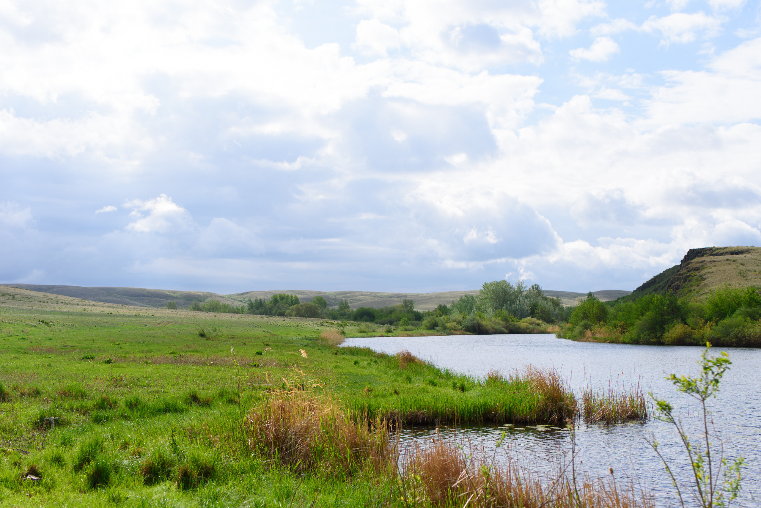 Отдых. Ириклинское вдхр. 2019. Производство фото и видео