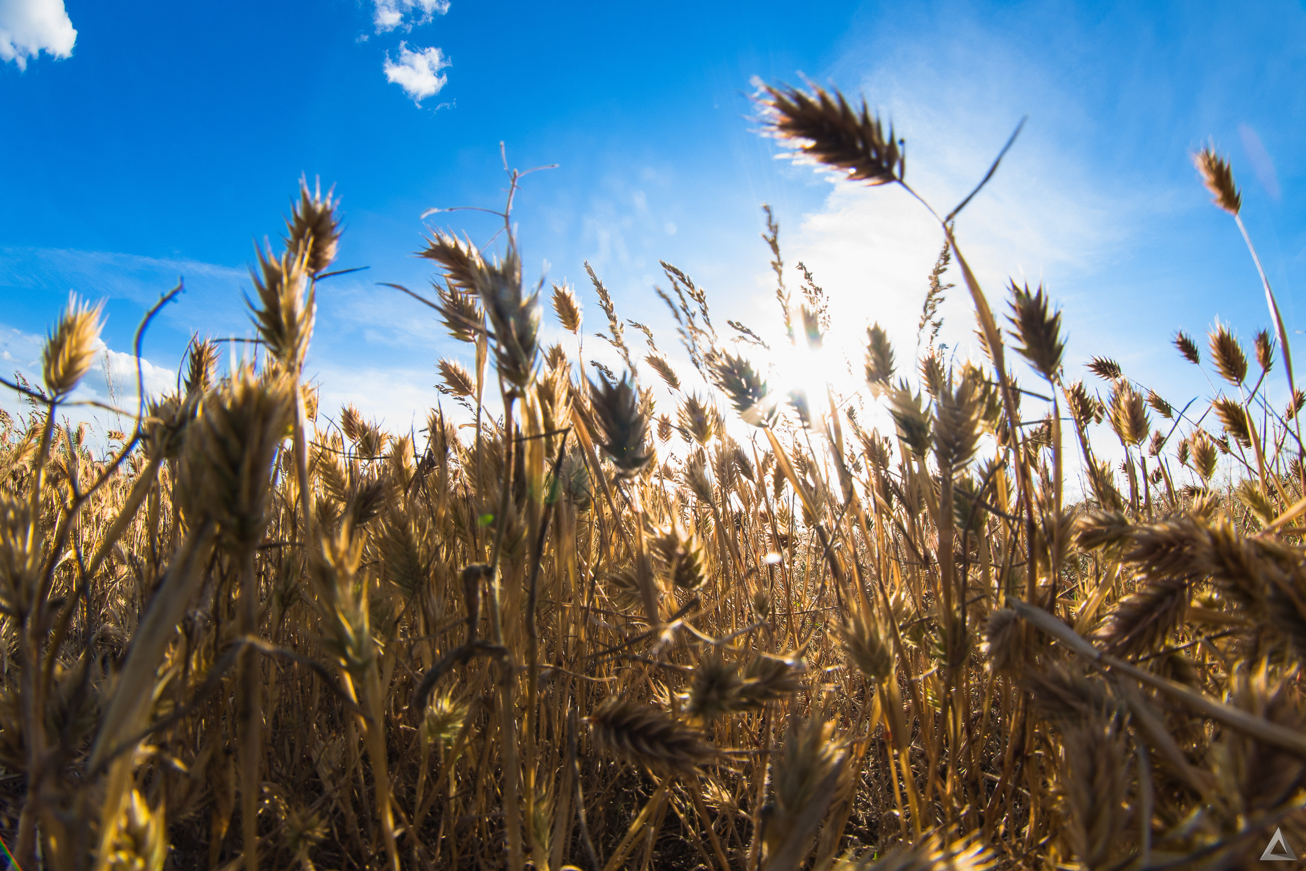 Сплав. р.Урал 2017. Производство фото и видео