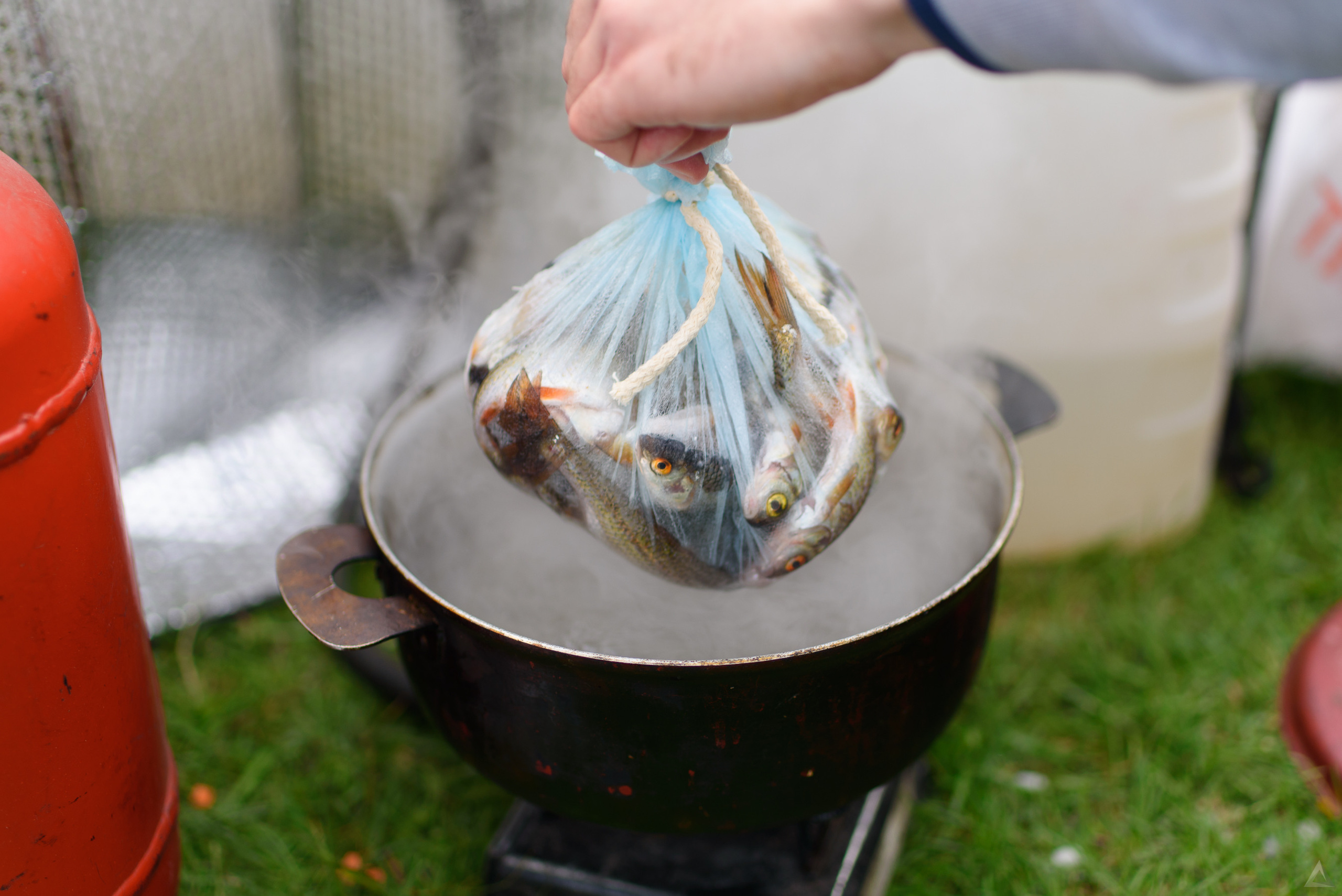 Отдых. Ириклинское вдхр. 2019. Производство фото и видео