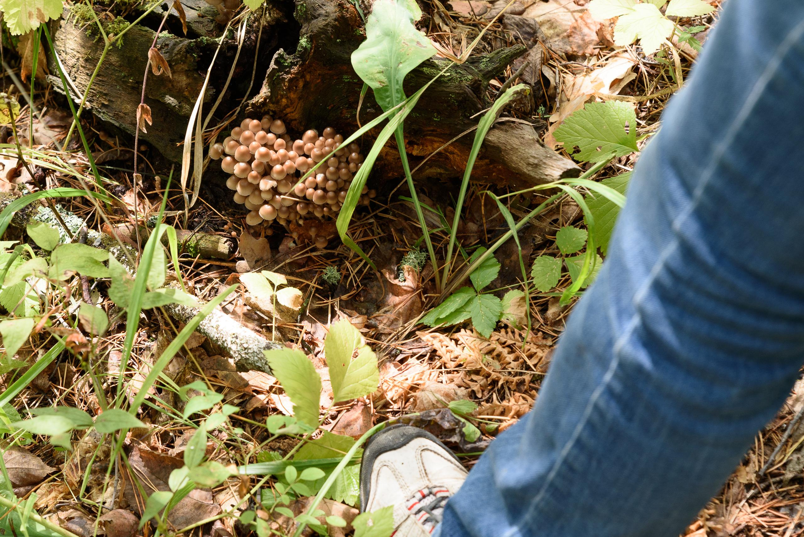 Сплав. р.Белая 2020. Производство фото и видео