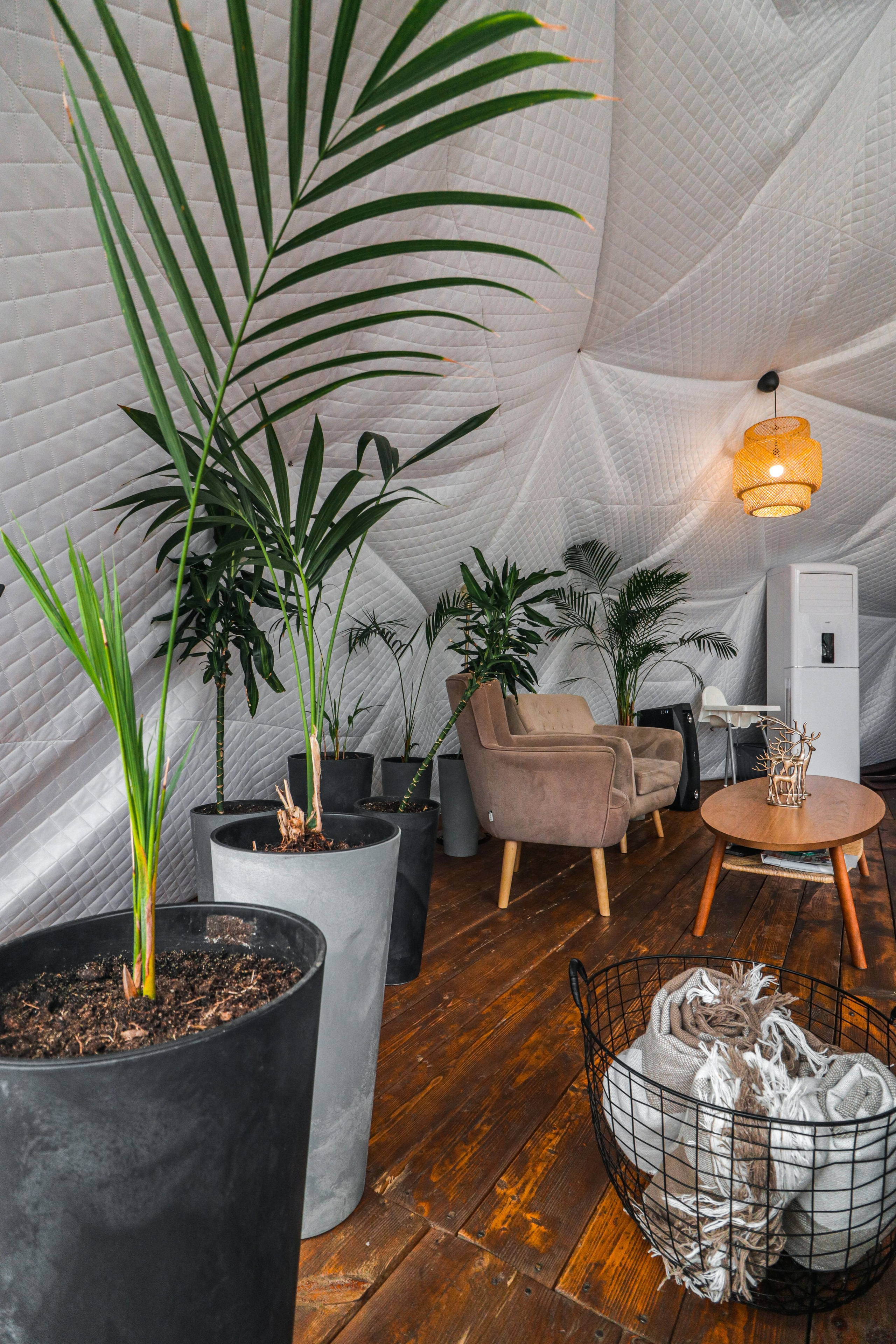 «Вдох» кафе, респ. Алтай. Контент фотограф Дмитрий Борисов