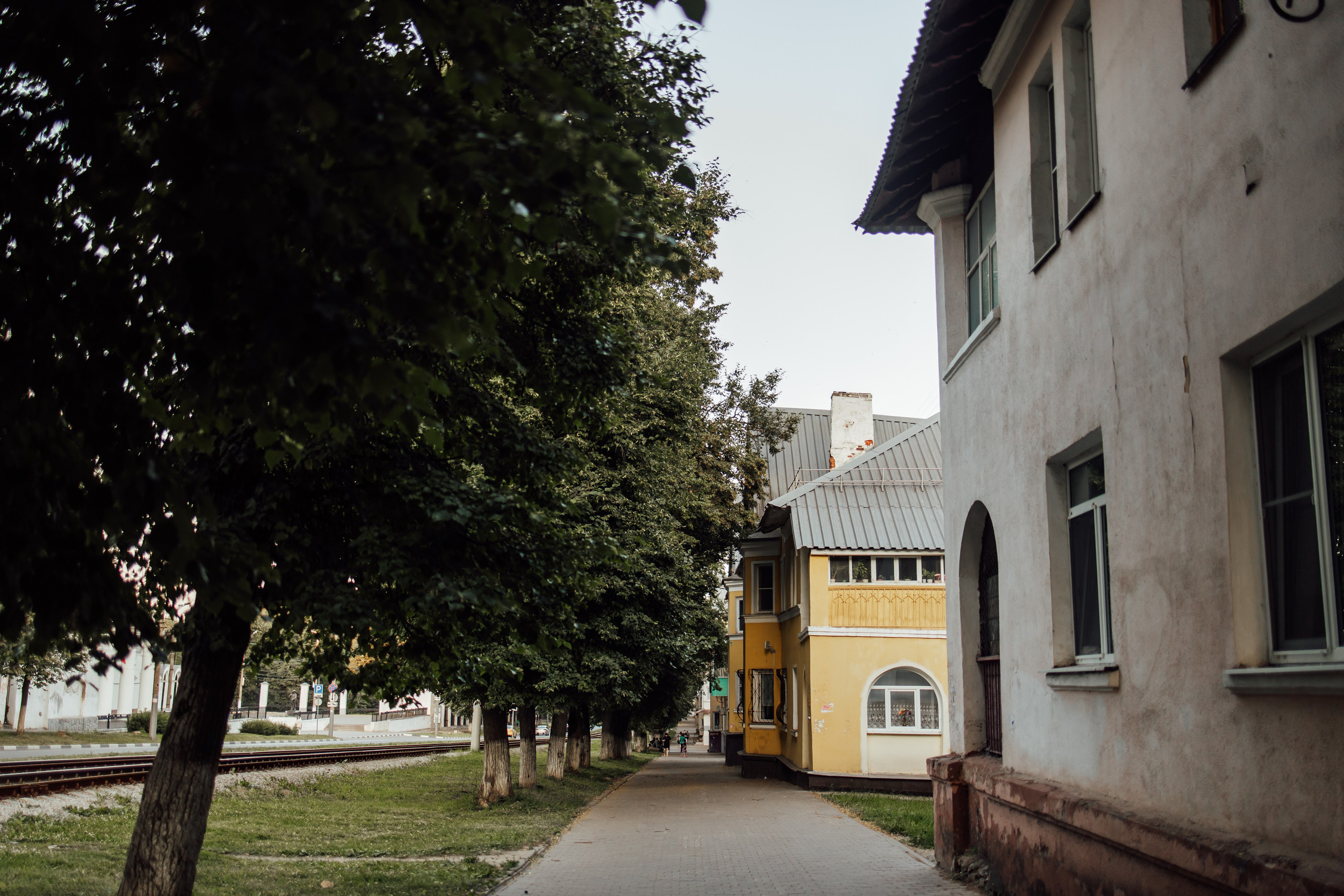 Криволучье, июль. Свадебный и семейный фотограф в Туле и области Маша Костина