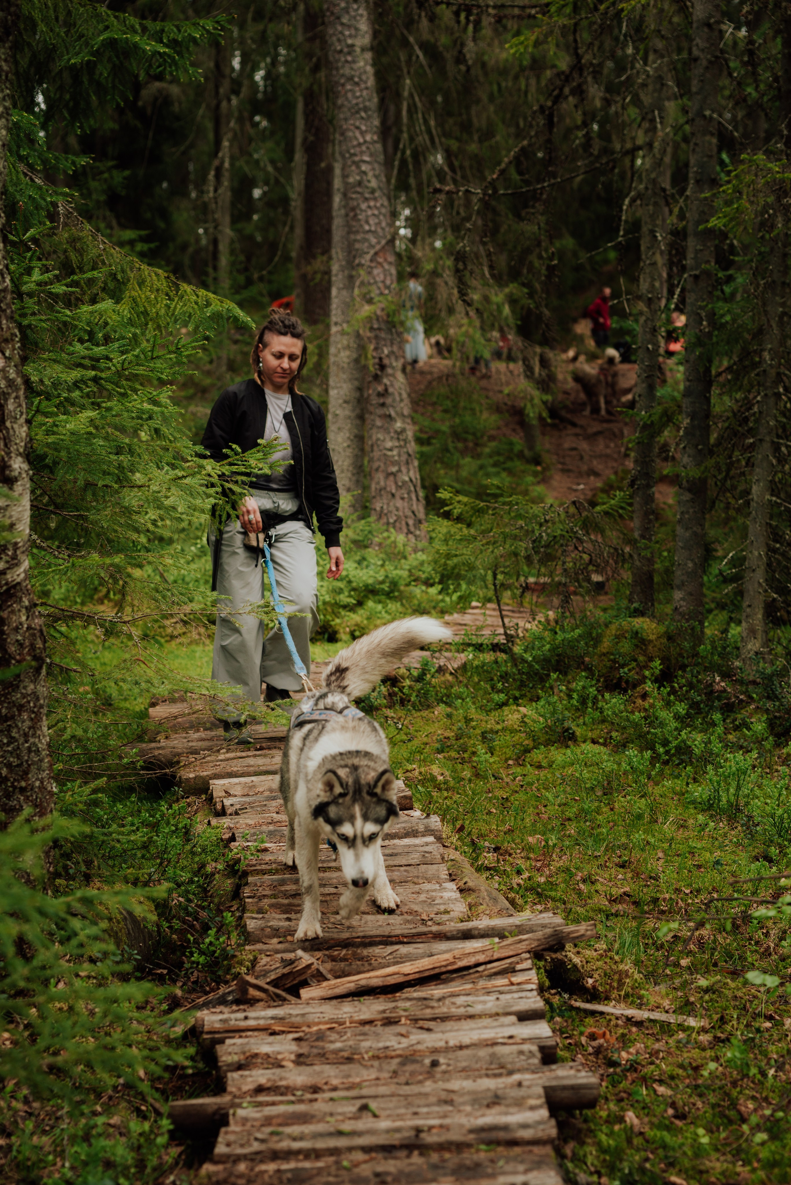 Догтрекинг. Фотограф в Санкт-Петербурге и Ленинградской области