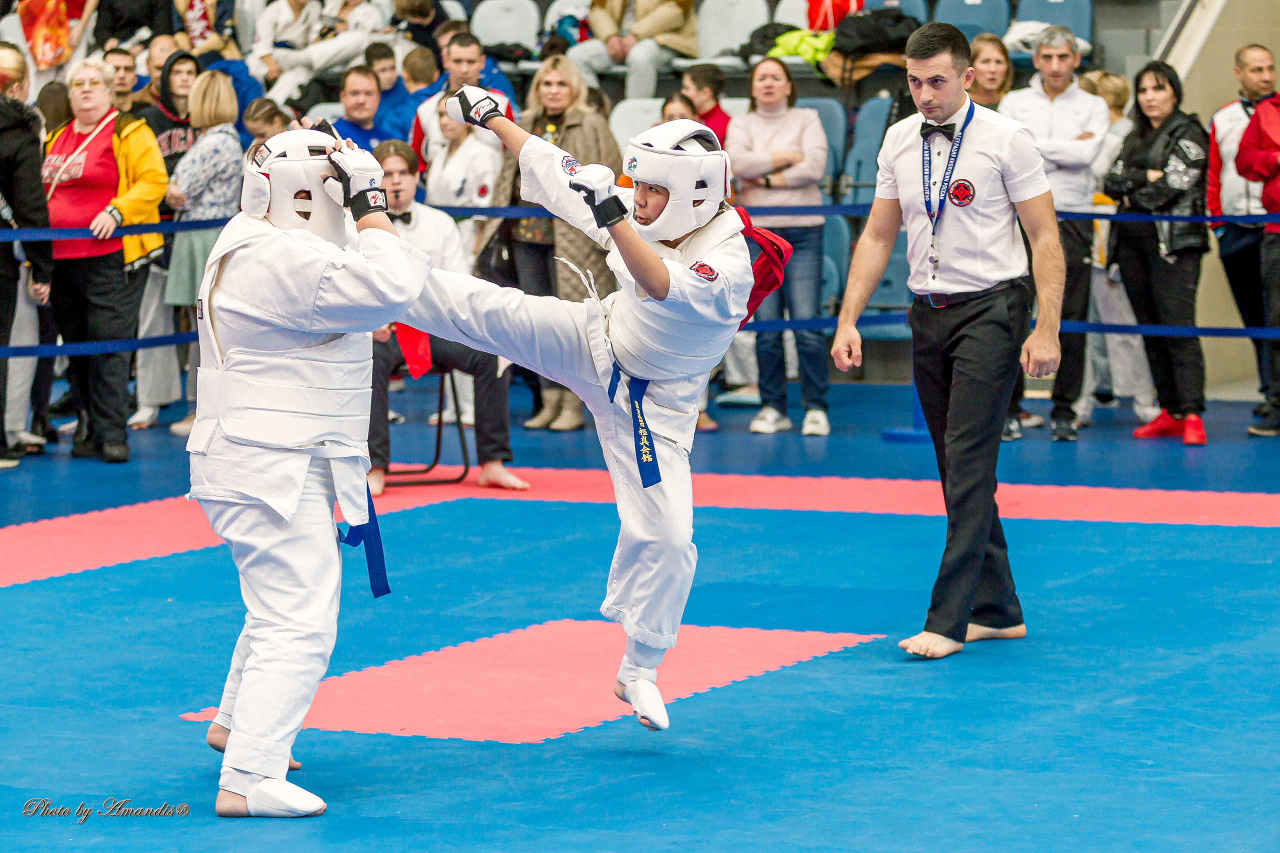 Чемпионат по Киокушинкай Центрального Федерального округа. Репортажная съемка в Москве и области. Анималистика