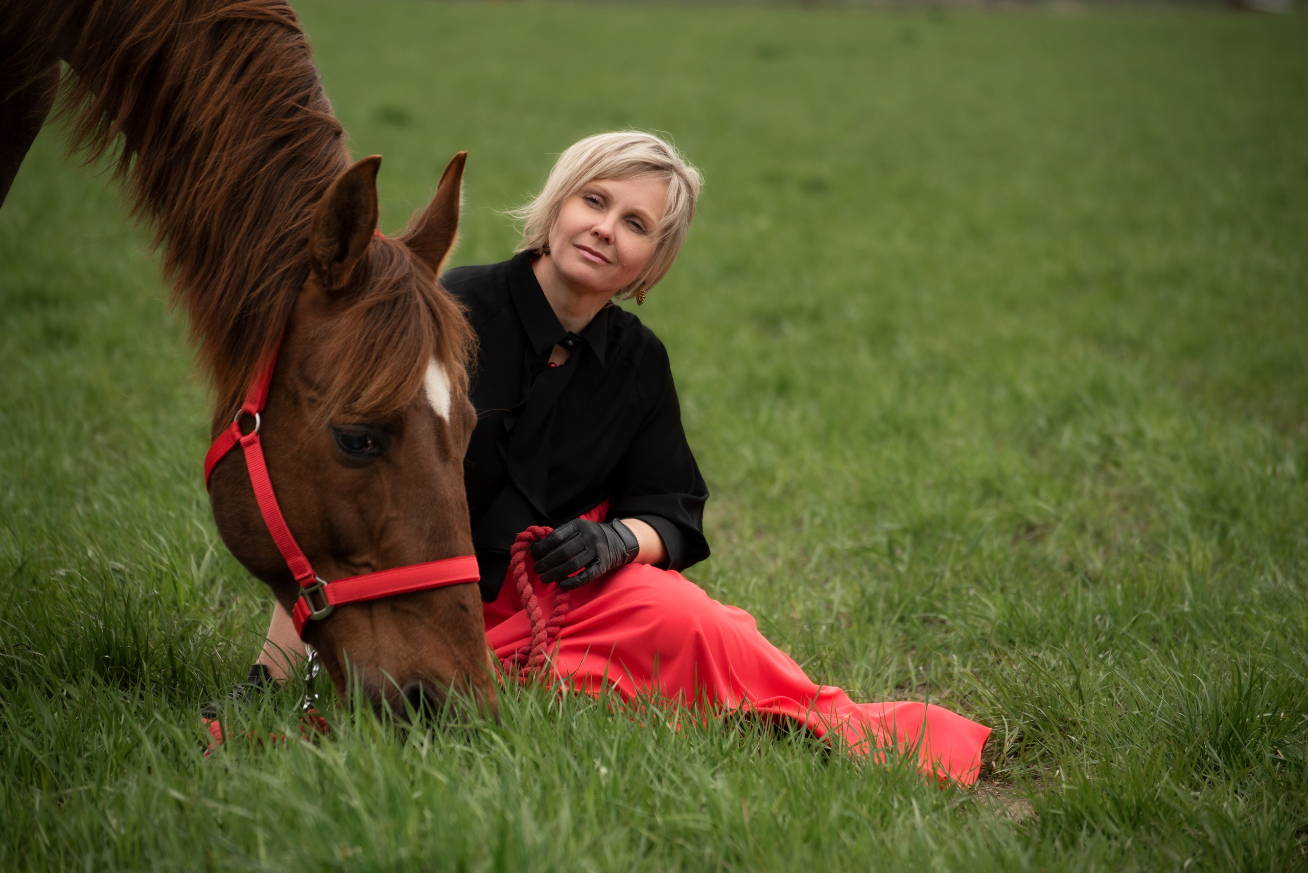 Портрет, лошадь, фото с лошадью, фото лошади, фотография лошади, съемка лошадей, фотограф лошадей, конная фотография, конный фотограф, конный фотограф в спб, съемки с лошадьми, фотограф спб, фотосессия с лошадьми,  лето, летняя фотосессия,  фото с лошадью,  фотосессии с лошадьми спб, фотосессия в поле, фотографироваться с лошадью, сфотографироваться с лошадкой, женская фотосессия, девушка с лошадью, женский портрет, женский фотограф