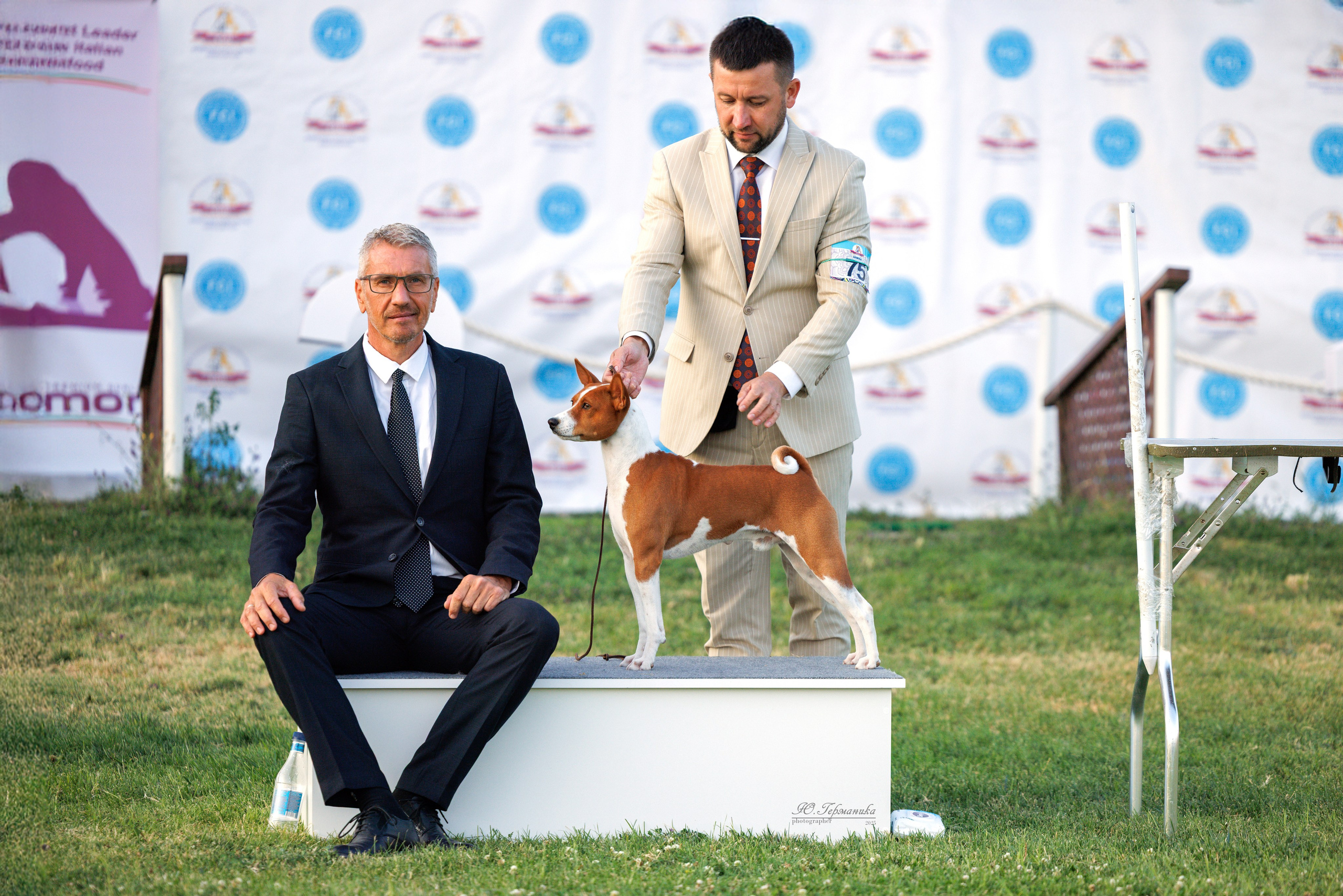 Ереван 3хCACIB 23-25.06.2025. Фотограф-анималист Юлия Германика