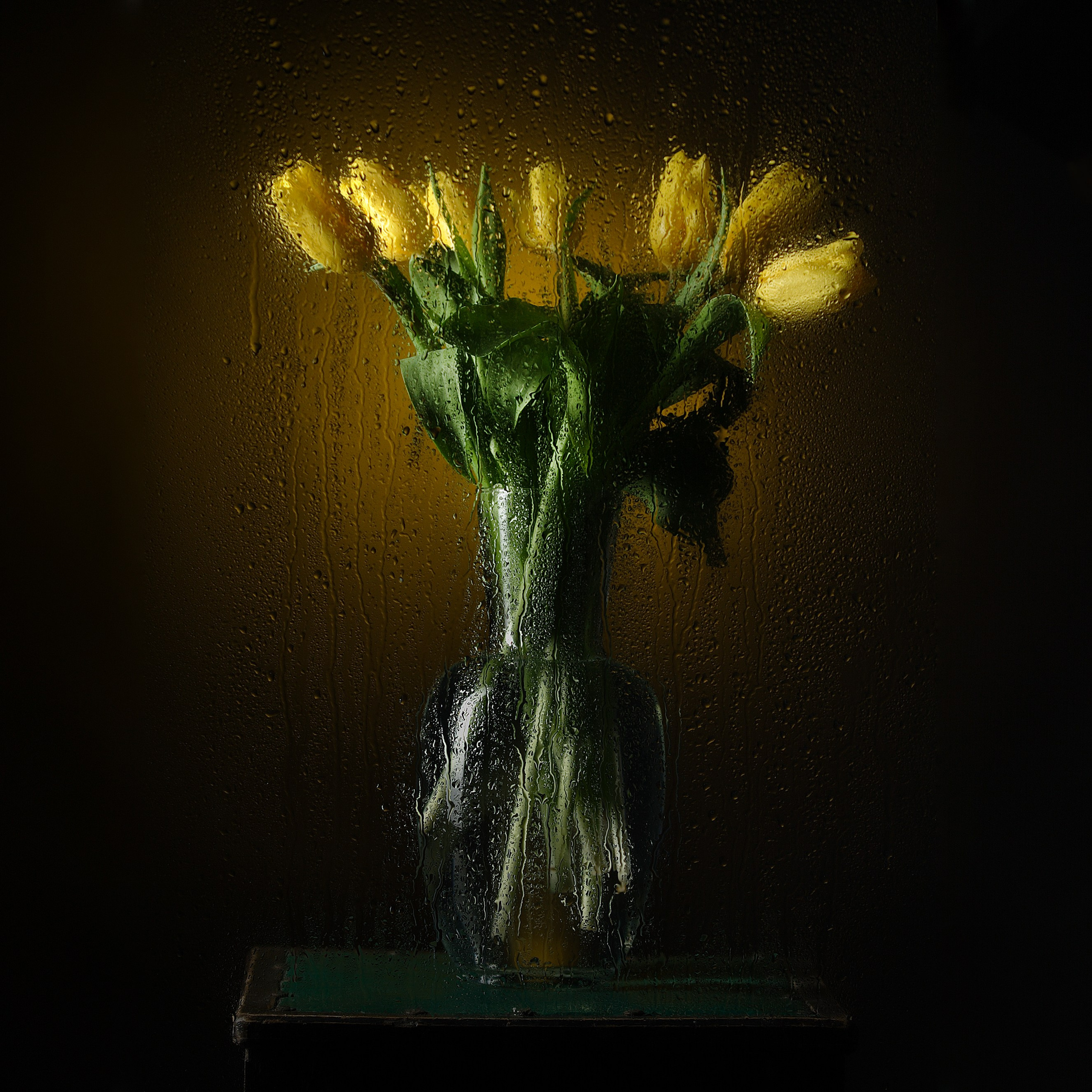 Цветы. Фотограф Мария Кольцова