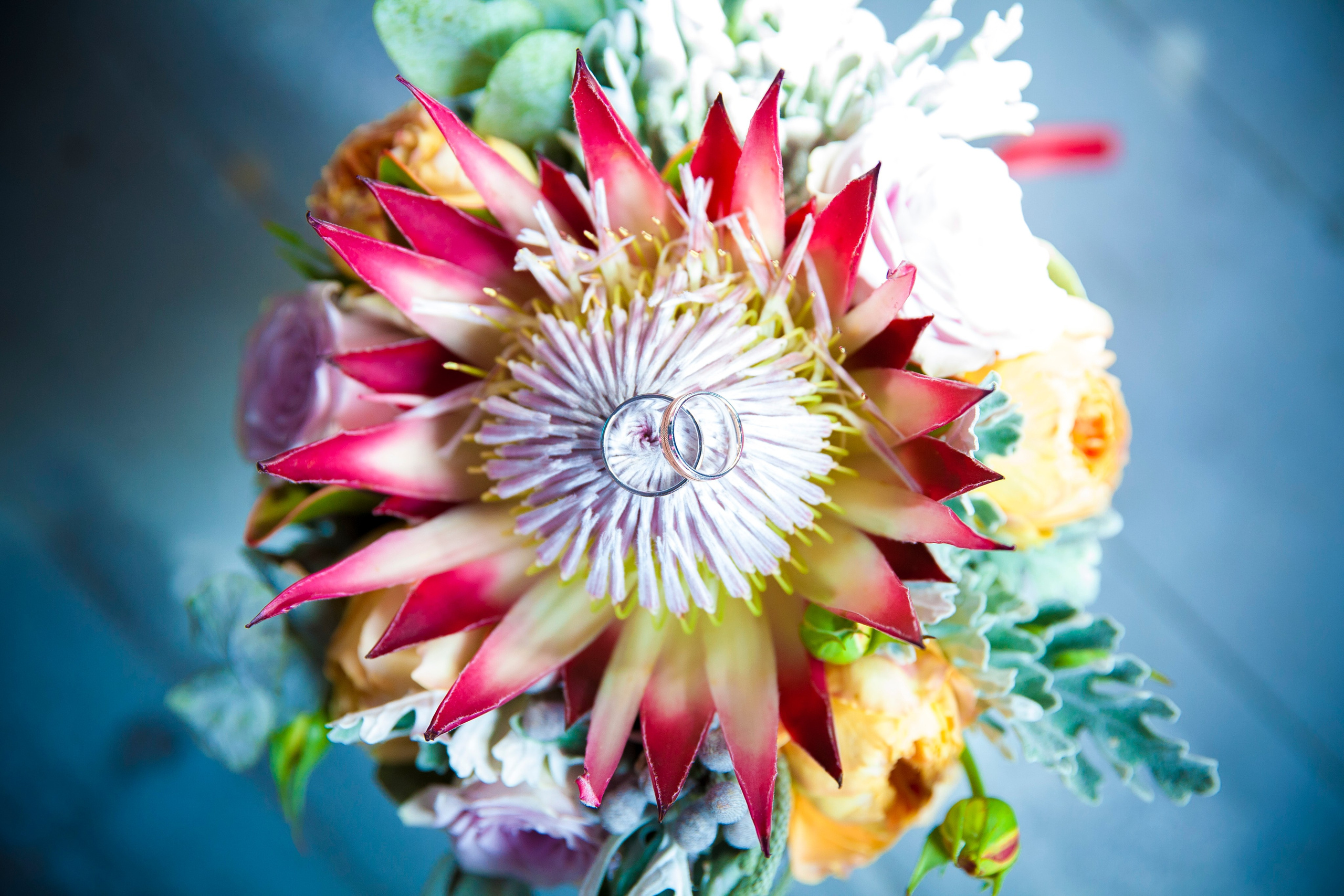 Кирилл и Рита. Фотограф Александра Степанова