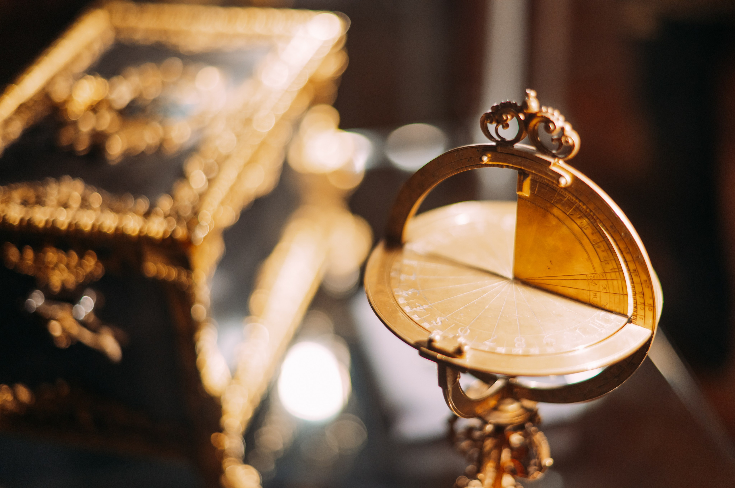 Репортаж. Фотограф Рашковская Полина