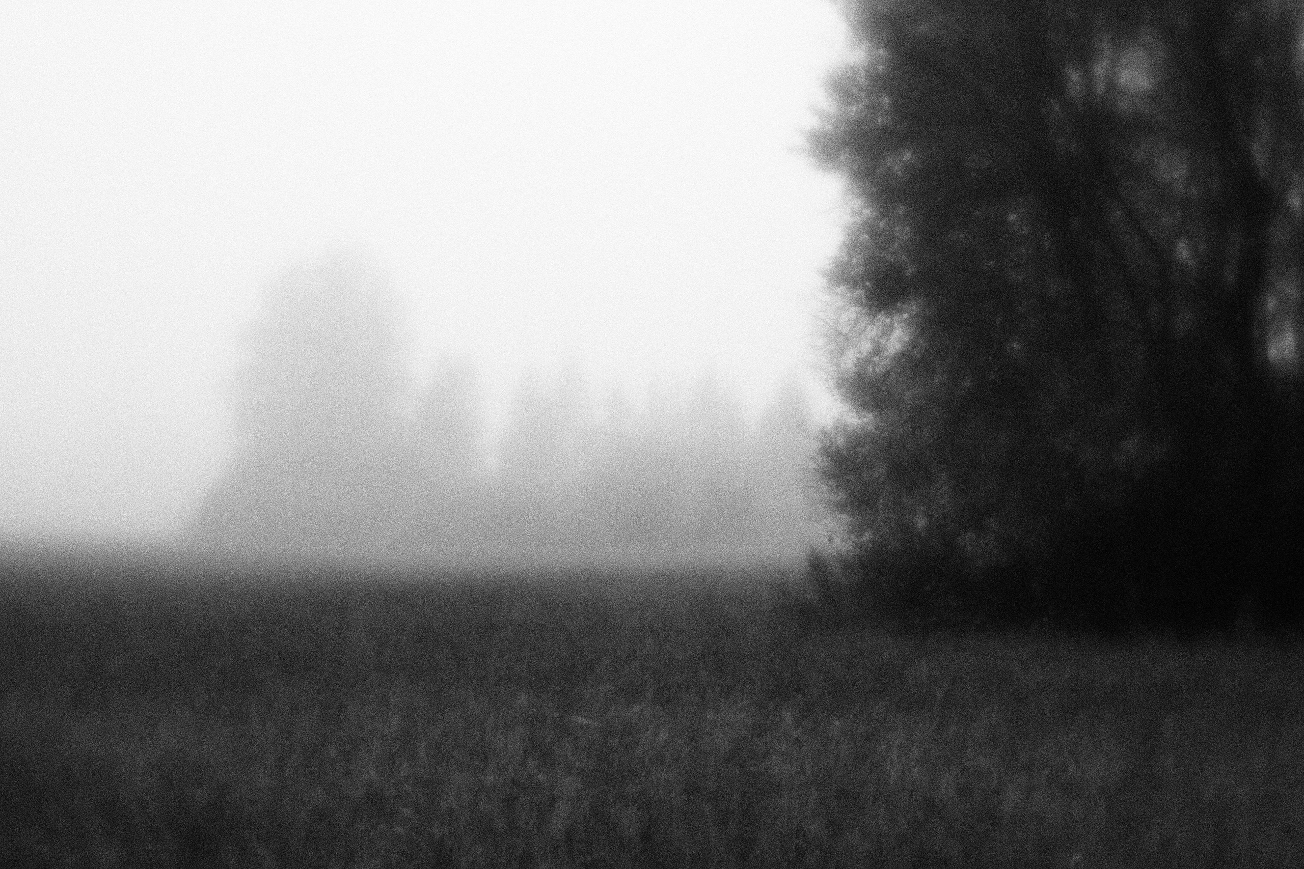 Внутривенные сны (2023)