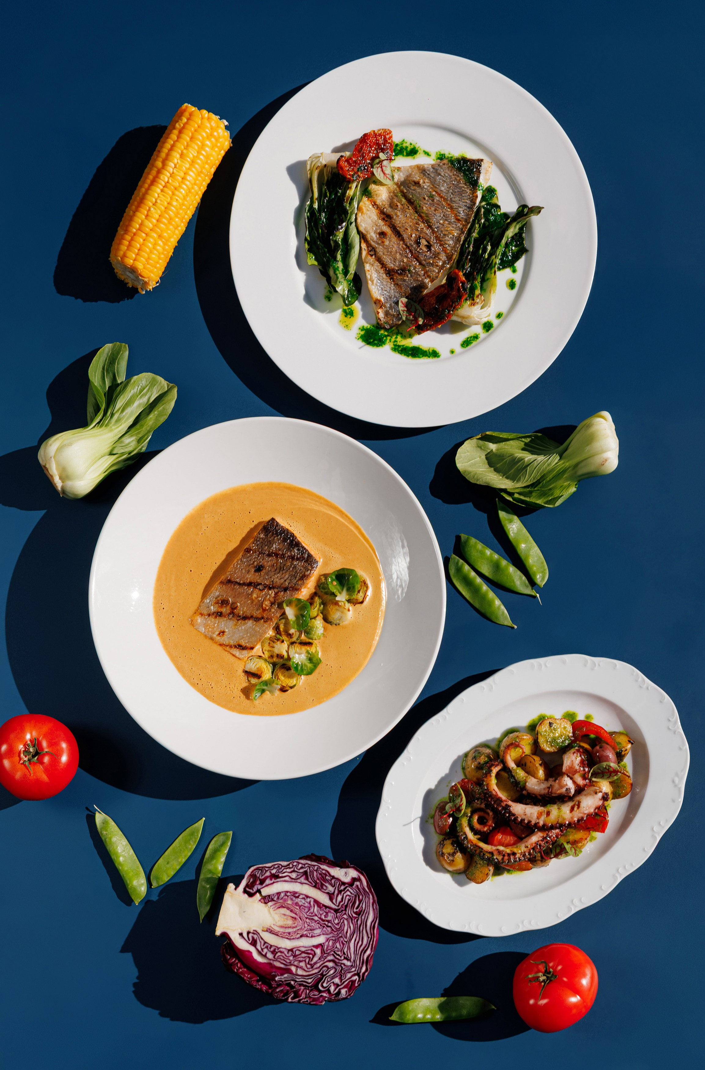 Muze Garden. Night2Day Санкт-Петербург