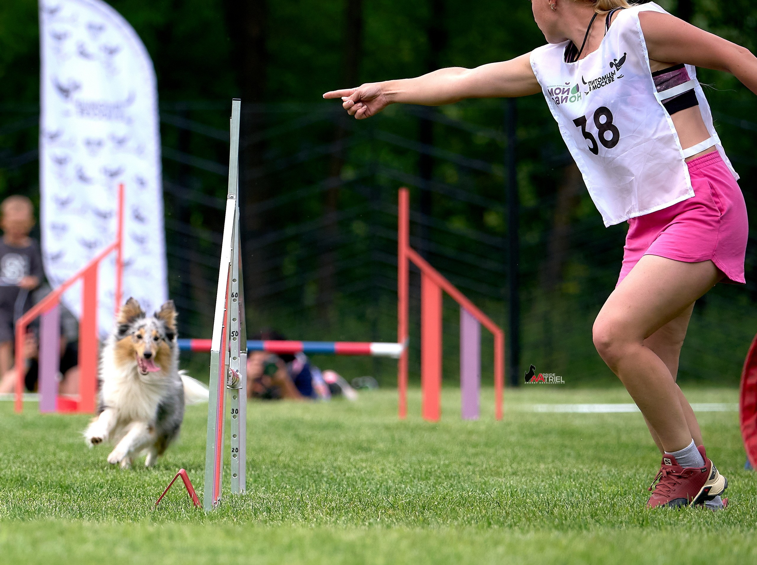 Аджилити — галерея NATRIEL