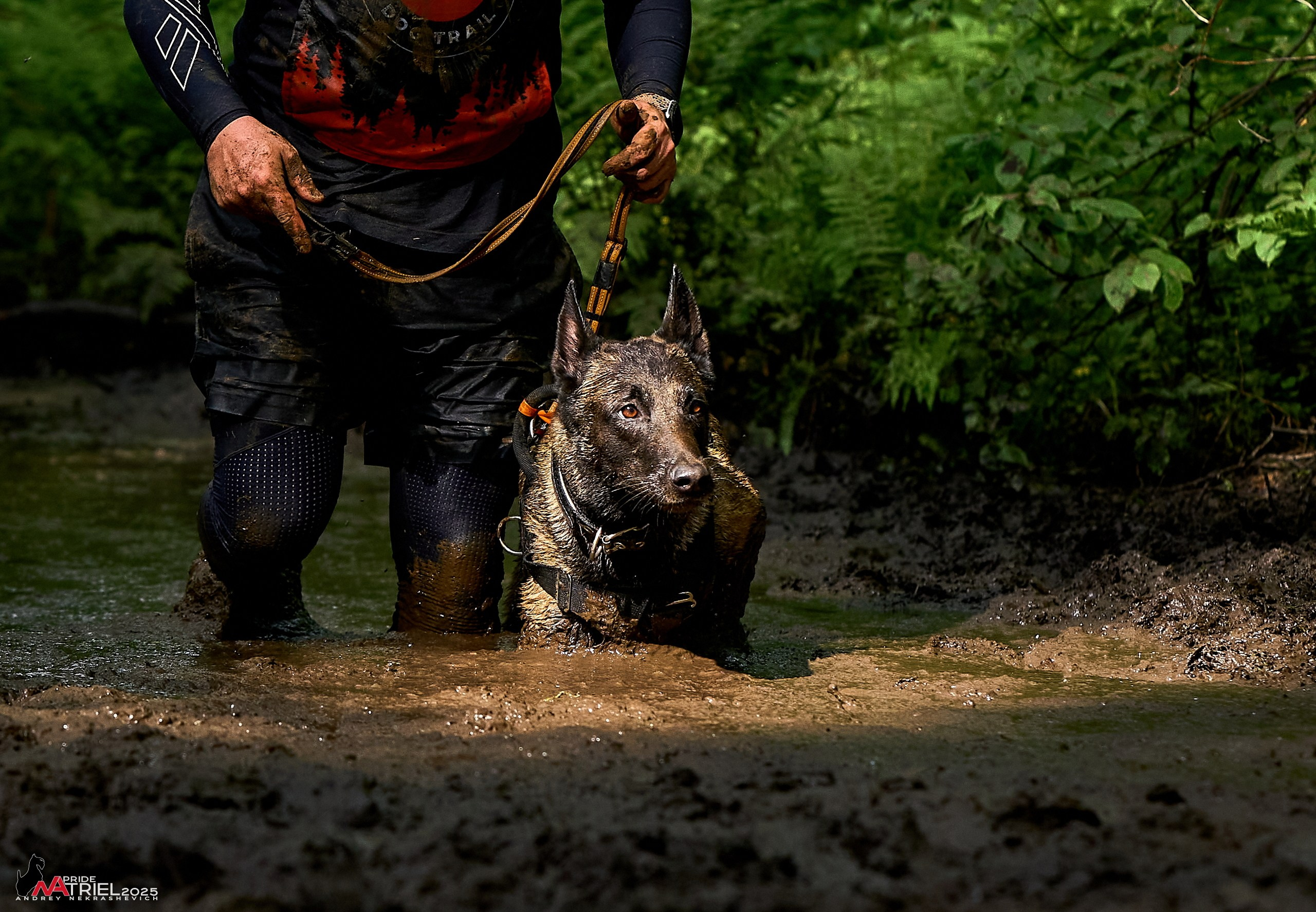 Russian Extreme Dog Trail — 2025
