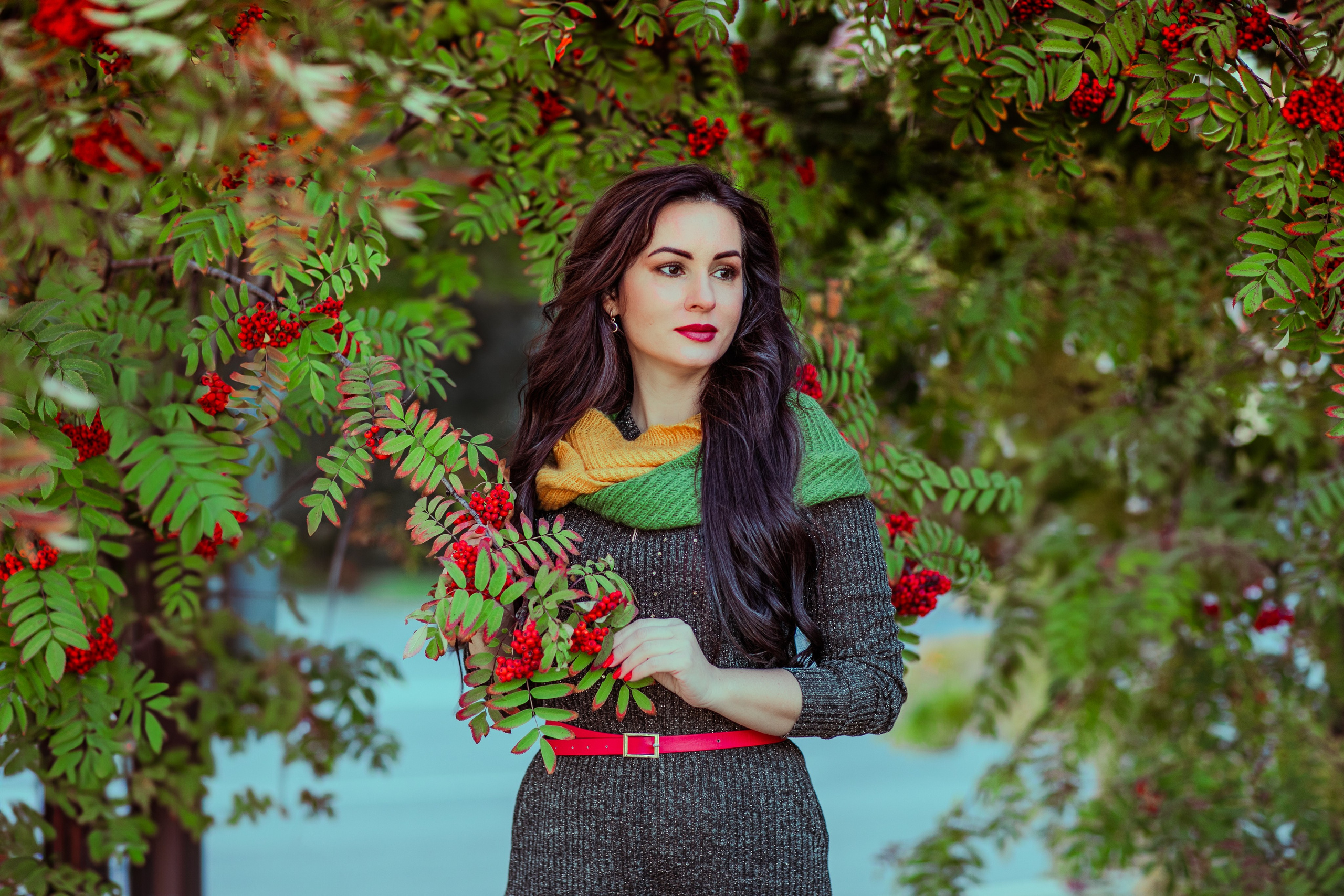 Багрец и золото. Фотограф Елена Вишневская (Ушакова) Нефтеюганск, Сургут, Тюмень