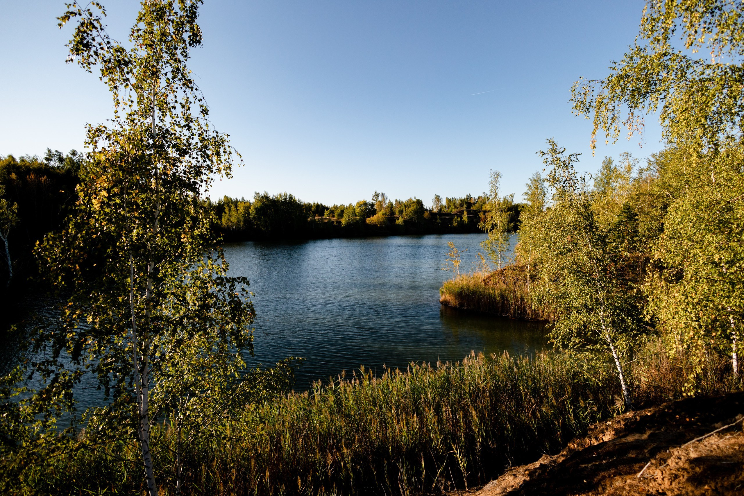 Глэмпинг Аномалия (Тульская область). Павел Шарапов | Фотограф | Москва