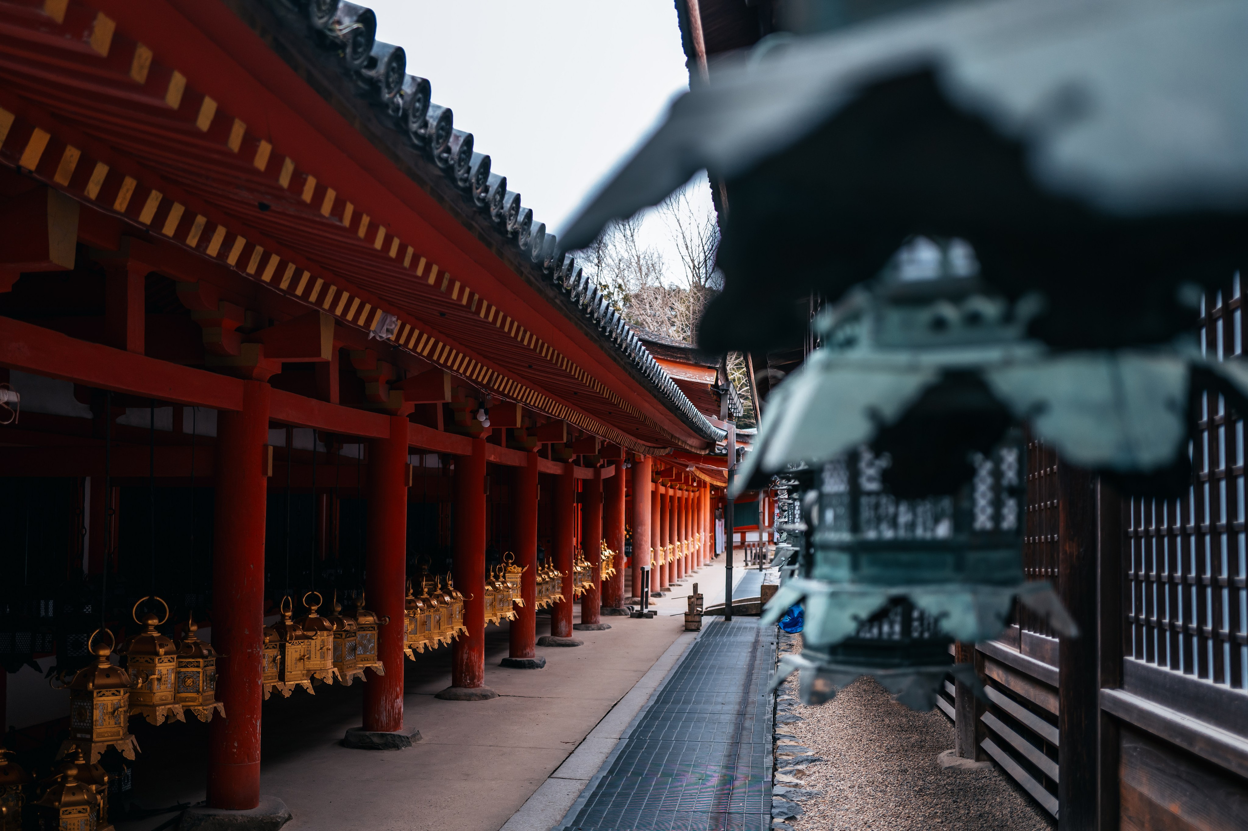 Japan/Япония. @tomrus: Рустам Шагиморданов — фотограф