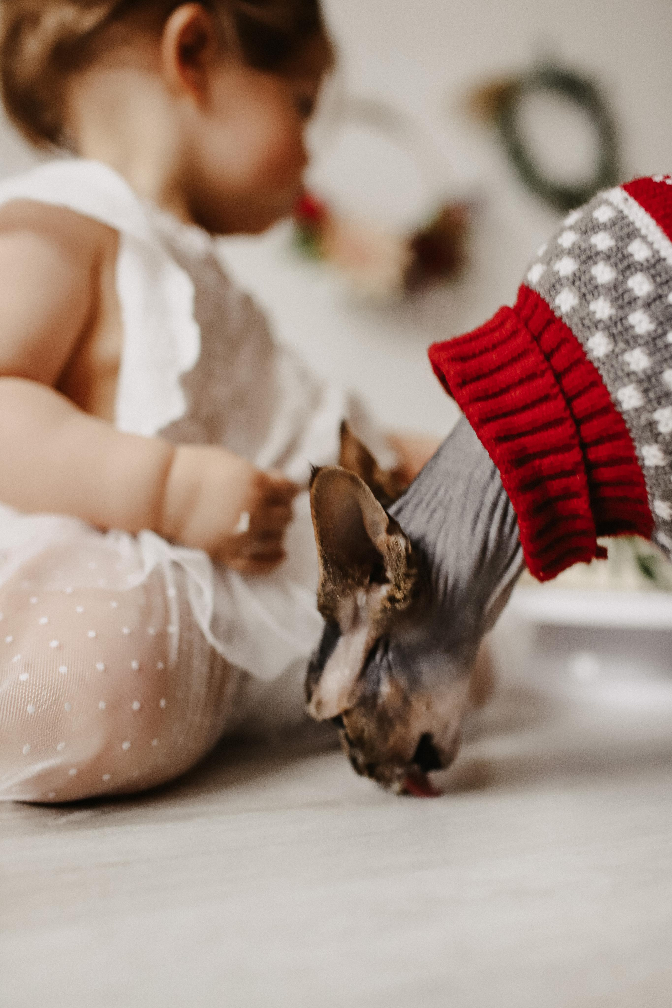 Годовасие. Свадебный и семейный фотограф в Балашихе и в Москве