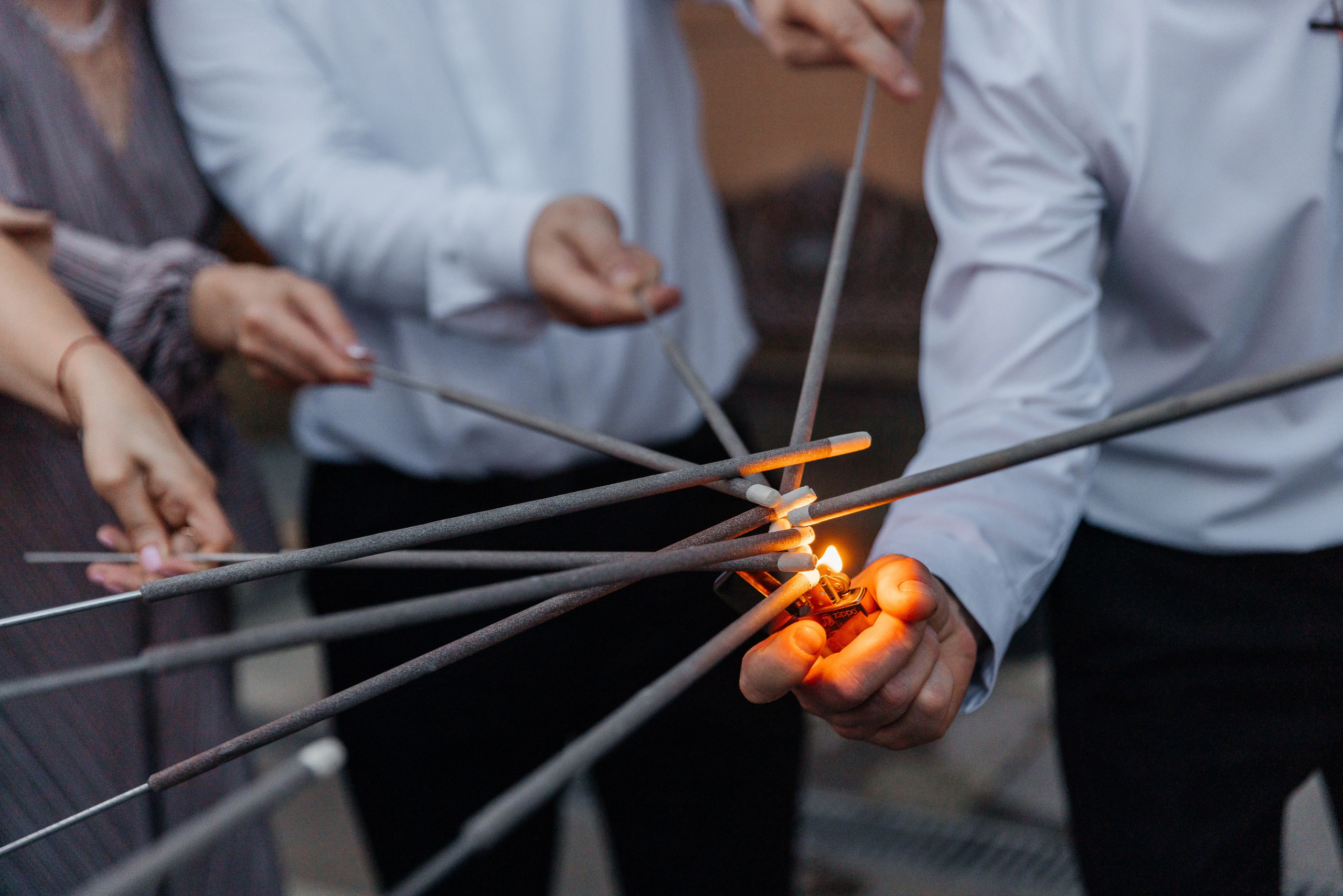 Анастасия и Никита| Зоопарк. Фотограф Москва Шептаев Артём