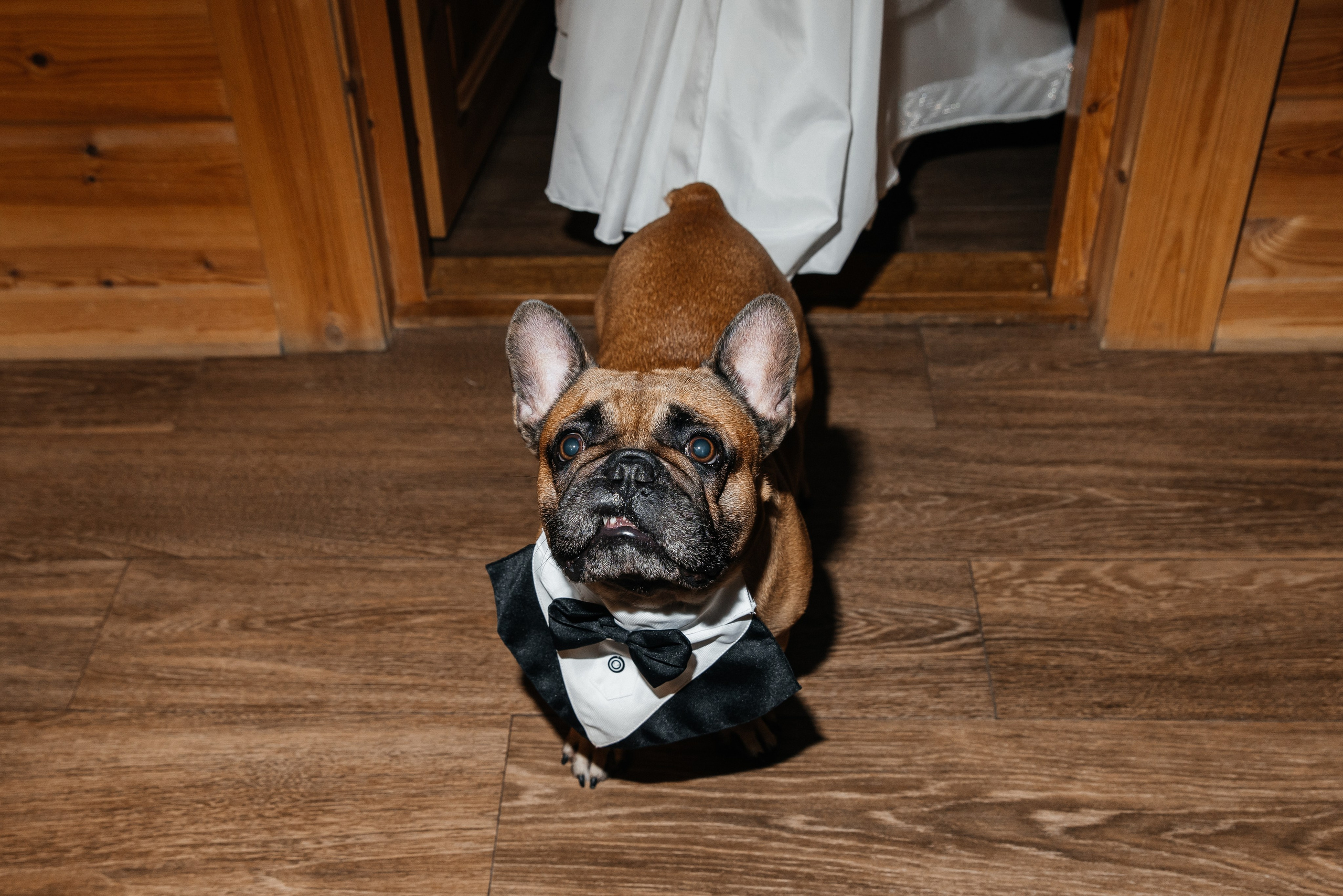 Дмитрий и Полина. Фотограф Москва Шептаев Артём