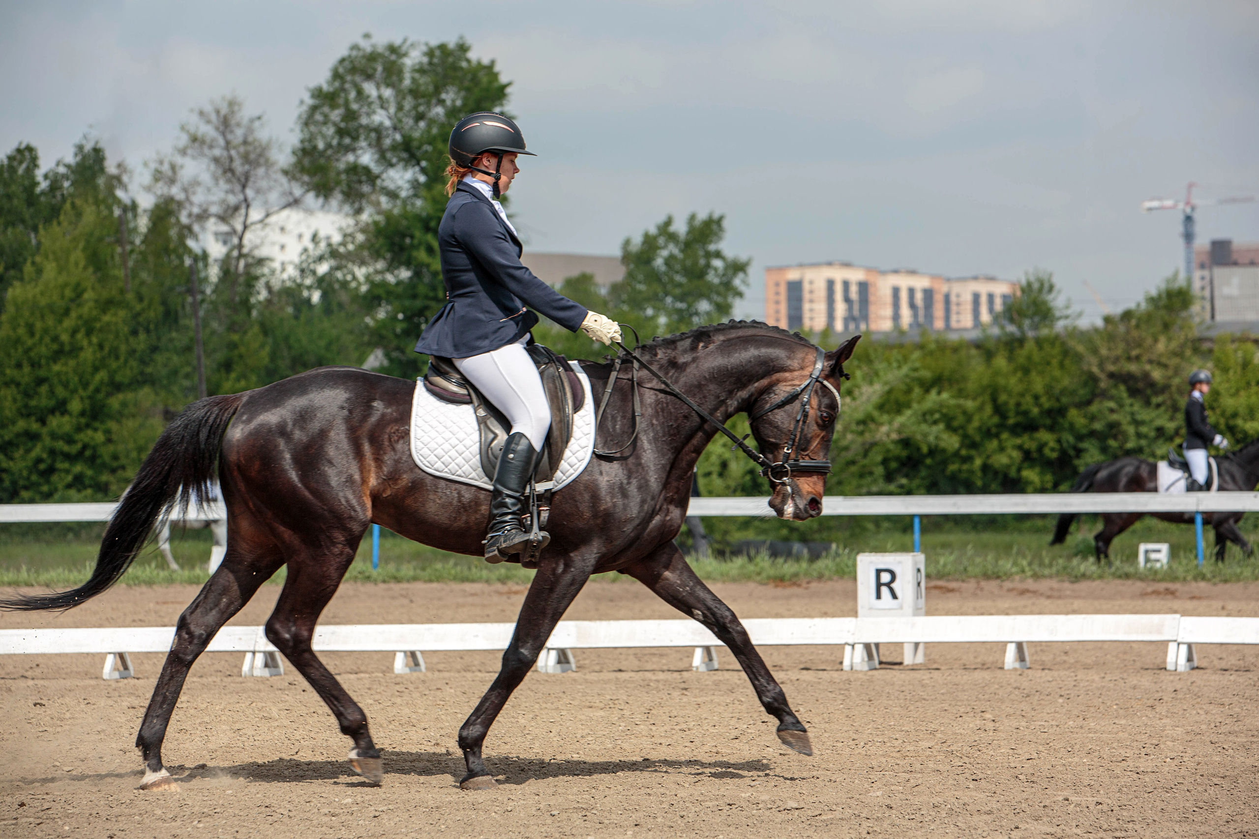 2024. Конный фотограф в Красноярске — Любовь Похабова