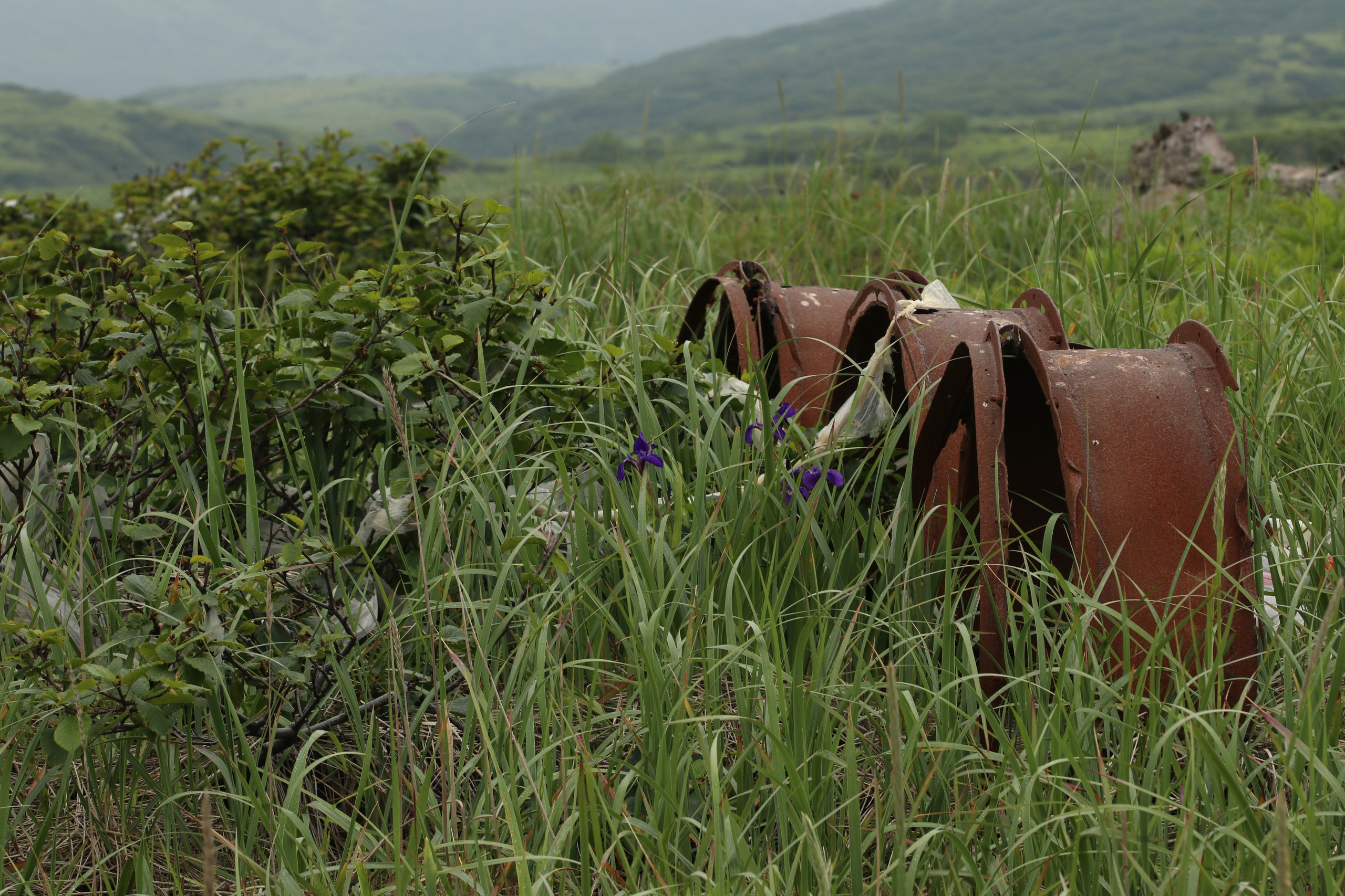 Камчатка и о. Парамушир. Июль 2024. Путешественник-фотограф из Санкт-Петербурга Татьяна Свистулина