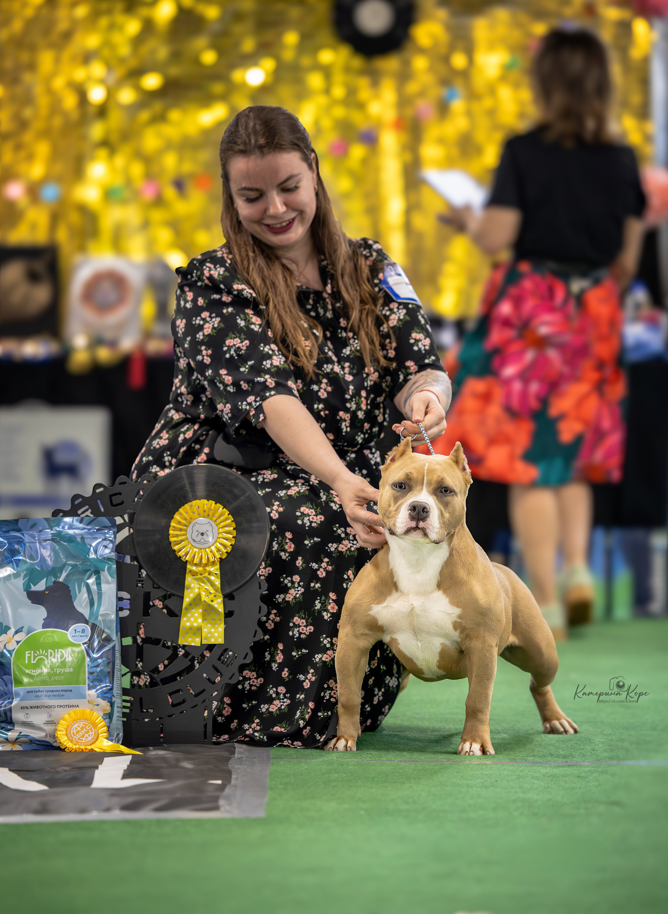 Riot Bully Sibir for Skyline Kennel. Главная