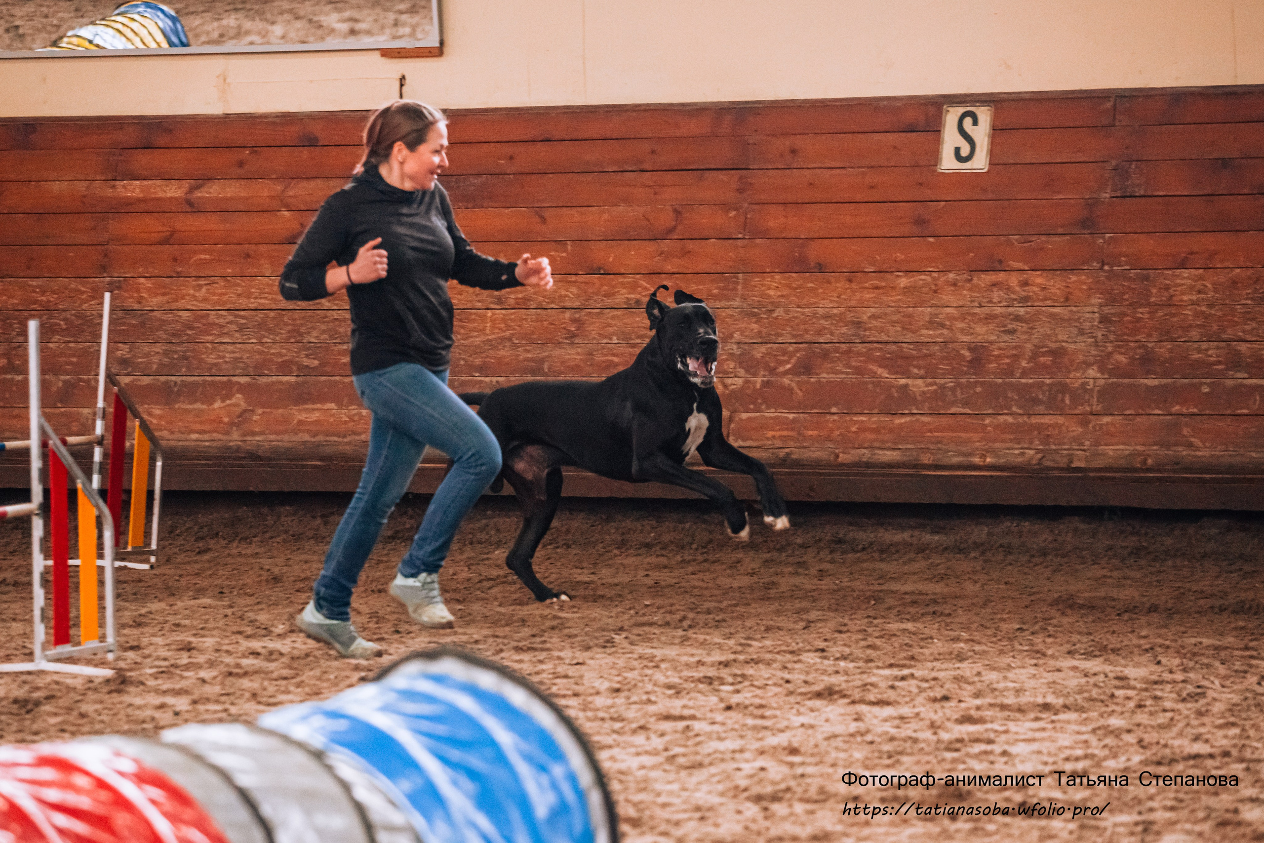 Соревнования по Аджилити 25.02.2024. Фотограф-анималист Татьяна Степанова